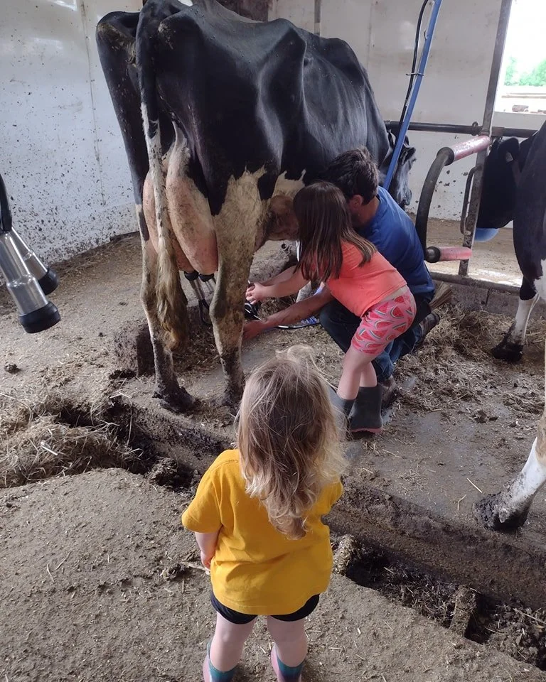 It's grass milk season! What a Spring.  We are in our rotating farmers market weekend rhythm; Aunt Nat will be at the Perth Farmers Market this Saturday along with other growers and makers from North Leeds and Lanark.  Come get your groceries for the