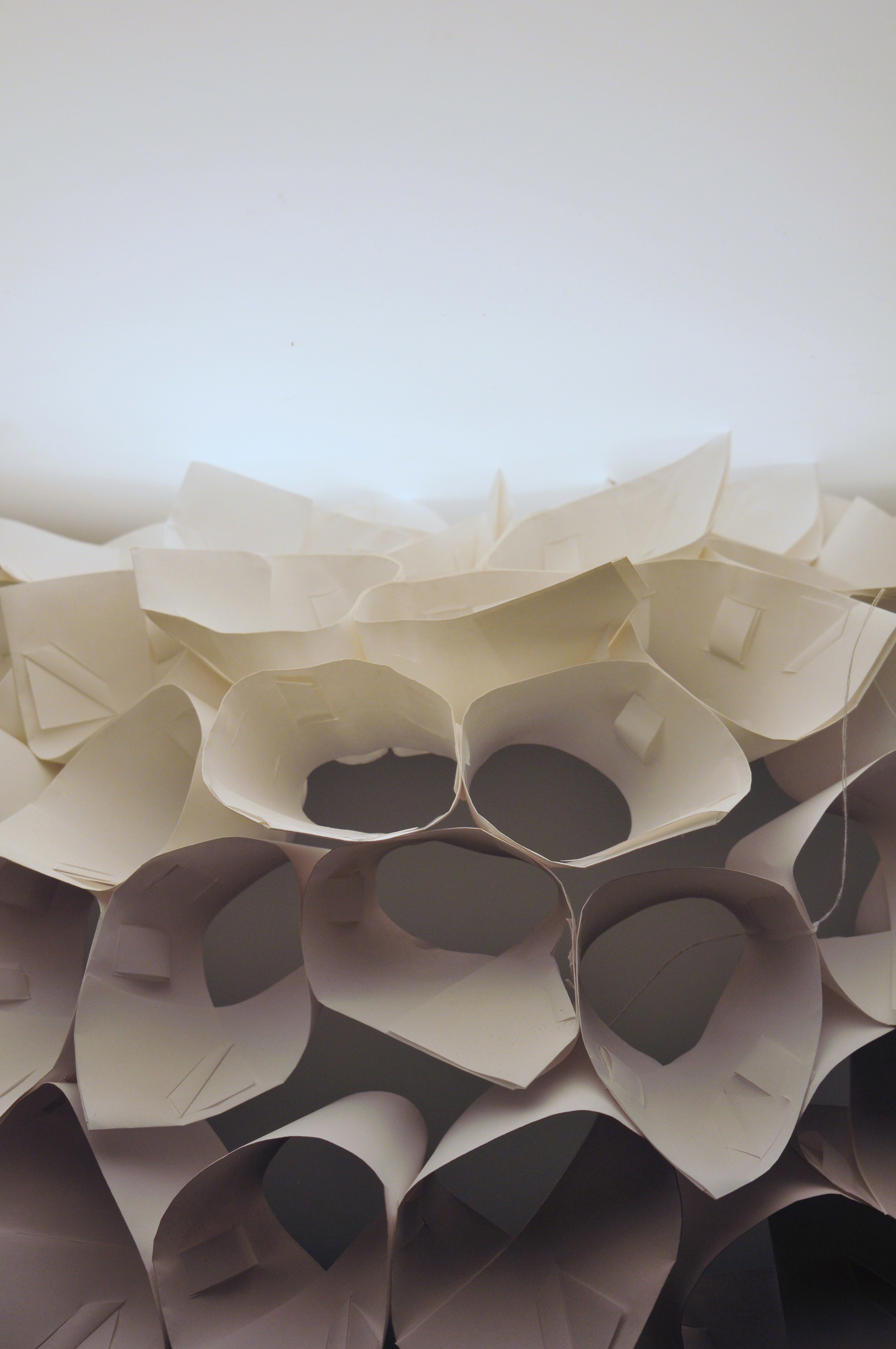 Prototype Photograph