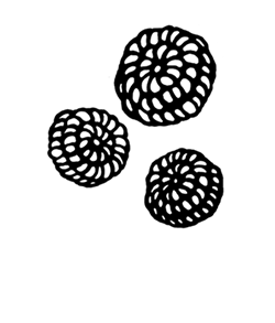 fleur.png