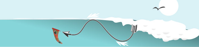 The 11” matte black or Elevator Jam or even Greenough 4A for example have longer rakes and help draw out turns. Ideal for faster waves or projecting down the line.