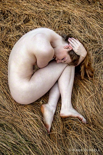 implied194.jpg
