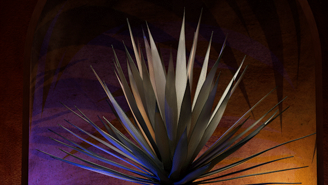agave.gif