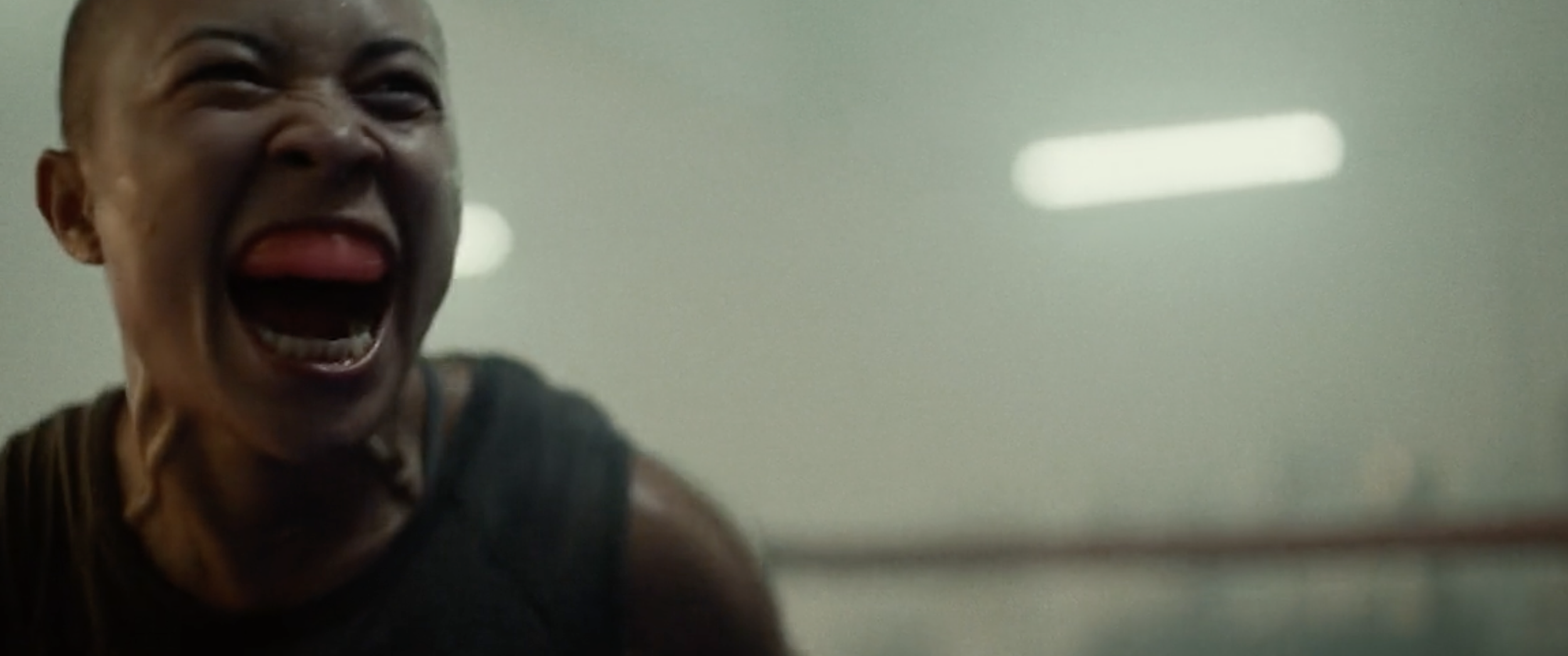 Captura de Tela 2025-03-31 às 18.51.12.png