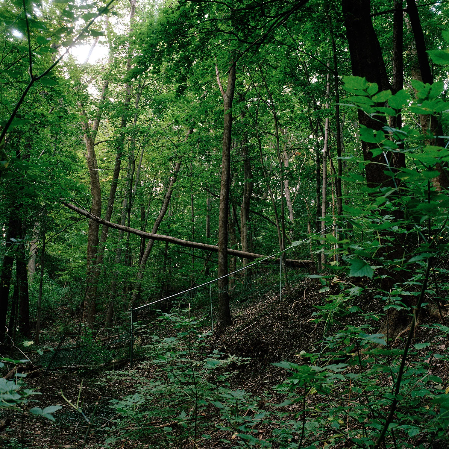 ROCHESTER, NEW YORK, 2007
