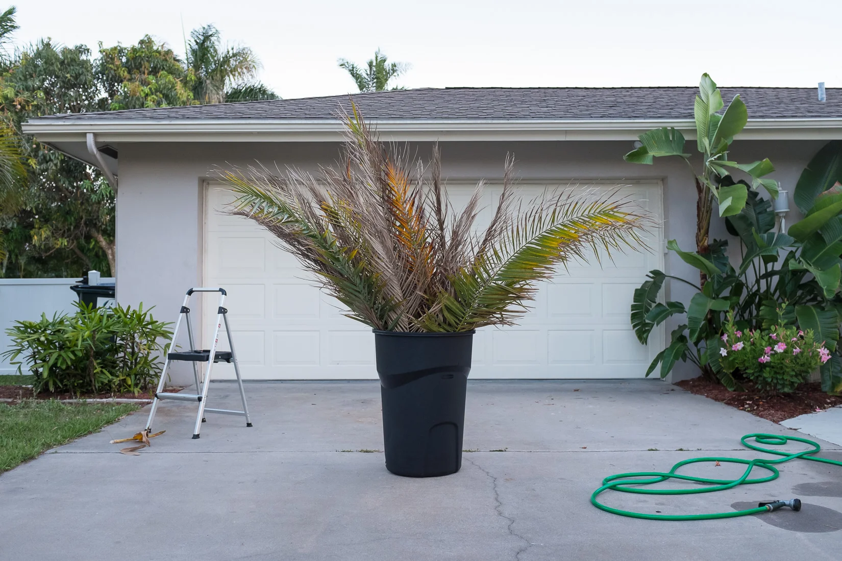 Monument to the City of Palms, 2014