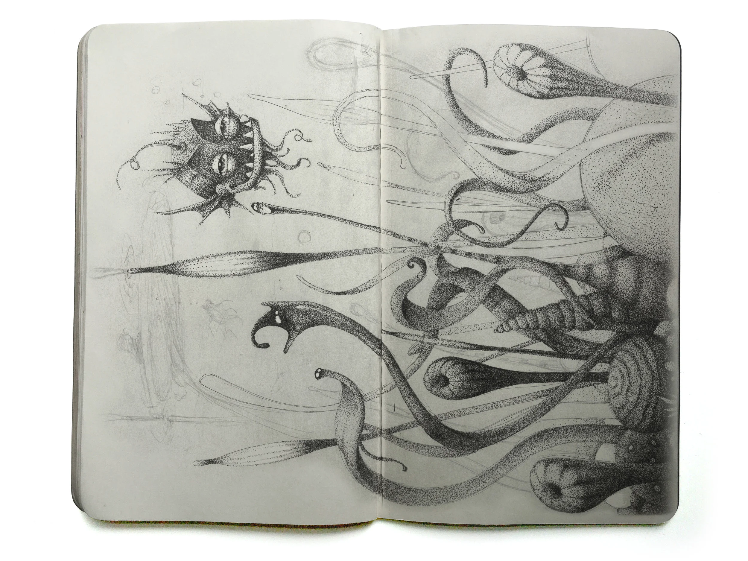 Sketchbook4.jpg