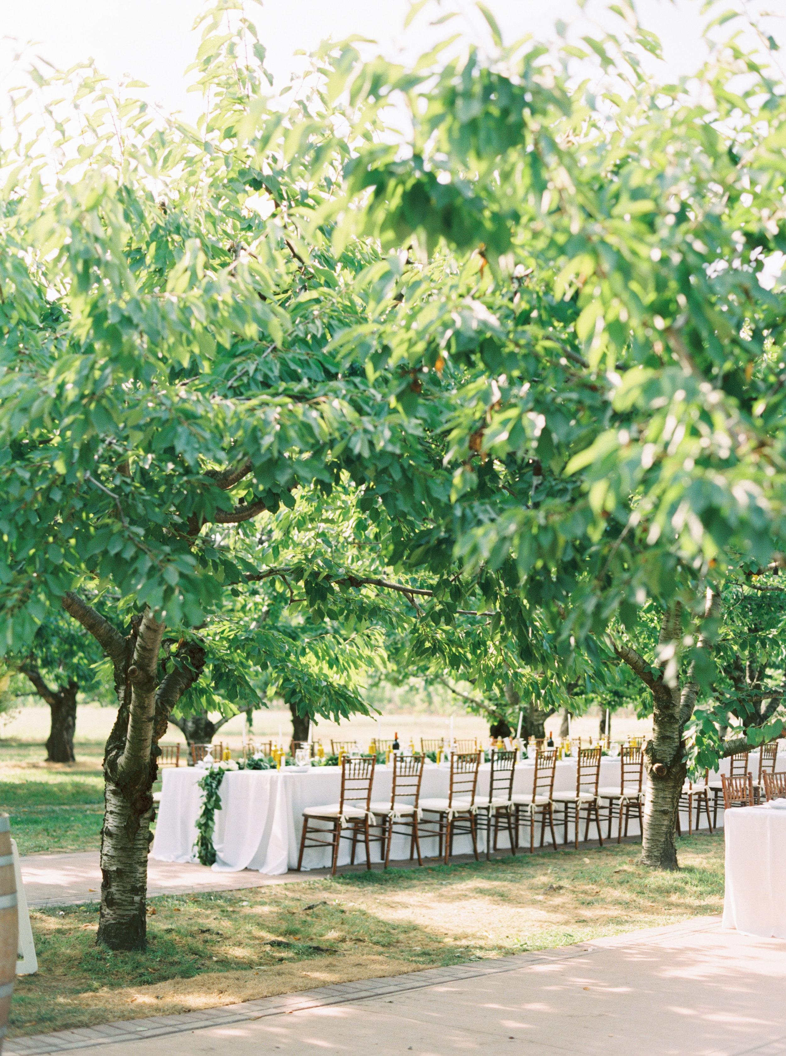 gracewood-kurtz-orchards-toronto-wedding-photographer-kurtz-film-richelle-hunter-cassandra-zac-dalpe-previews-30.jpg