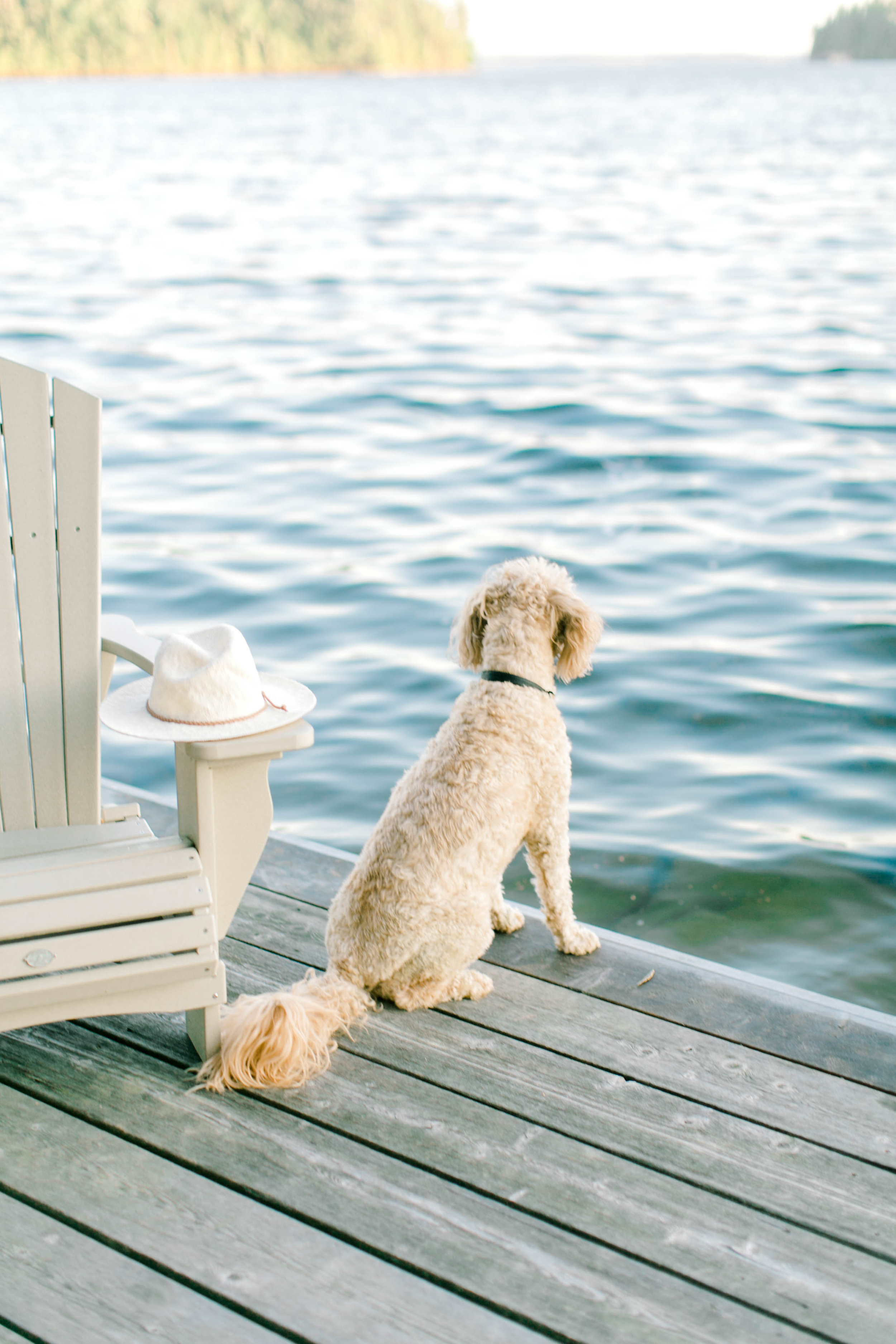 muskoka-wedding-photographer-soft-airy-kurtz-port-carling-wiles-levi-271.jpg