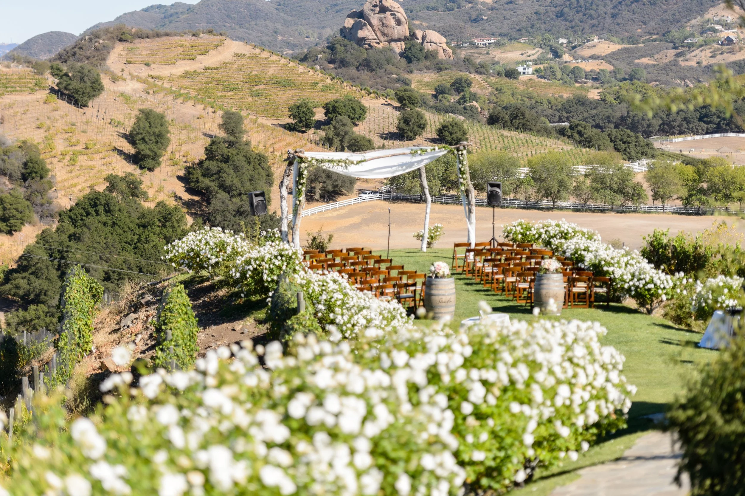 0234_WED_Gina_Billy 2.JPG