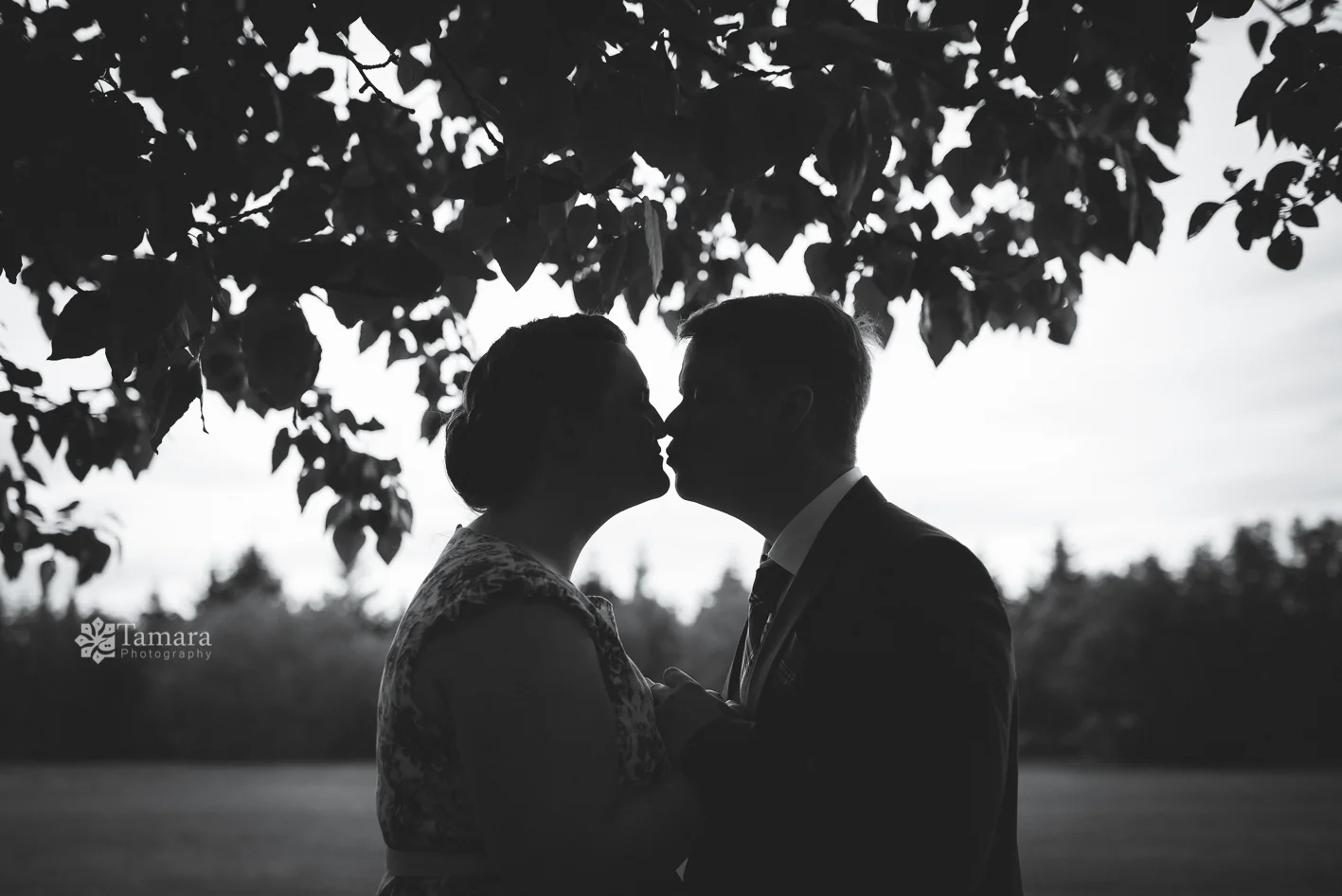 [net][BMynd] S+A-62.jpg