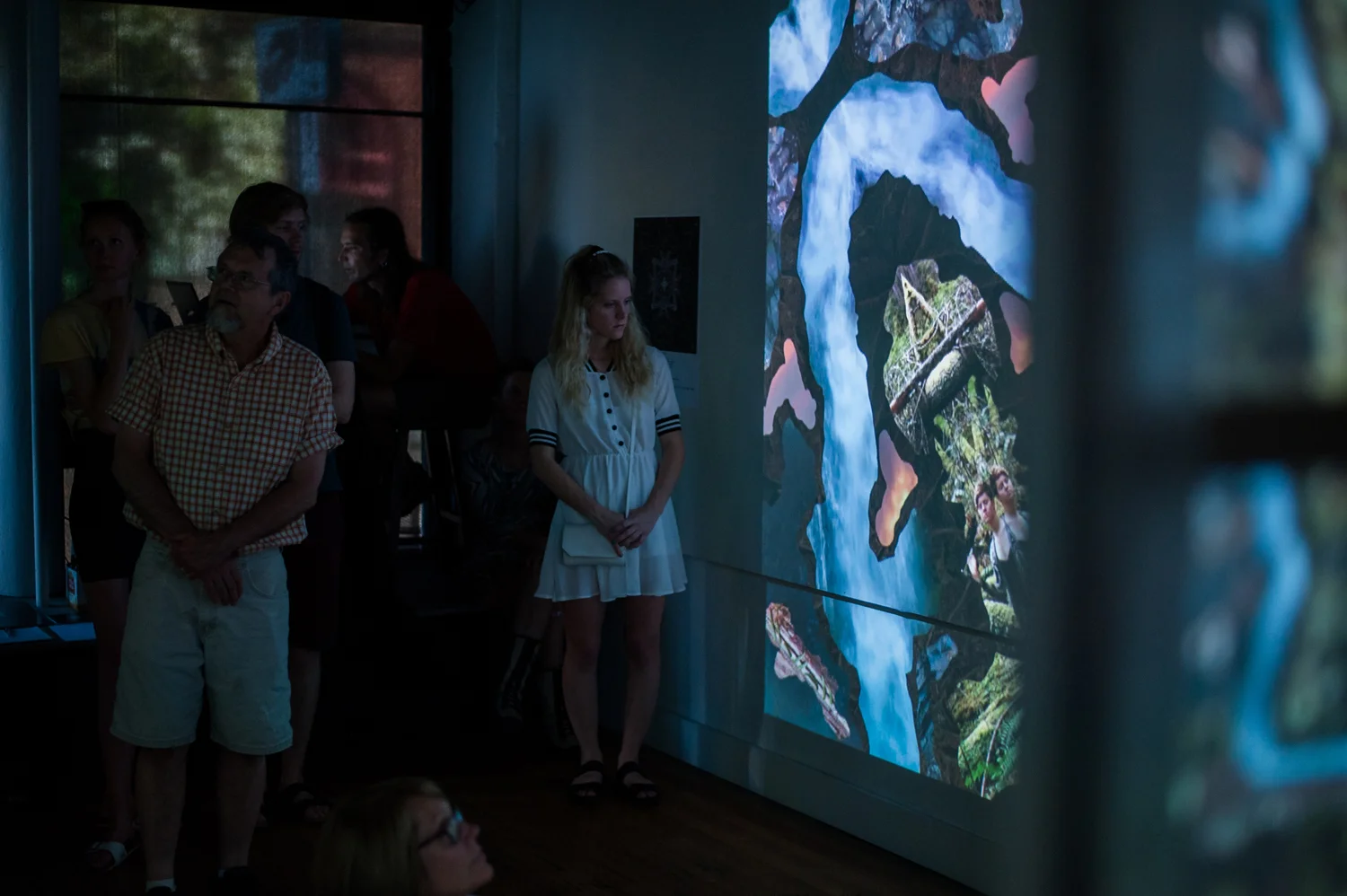 Habitat (installation view)
