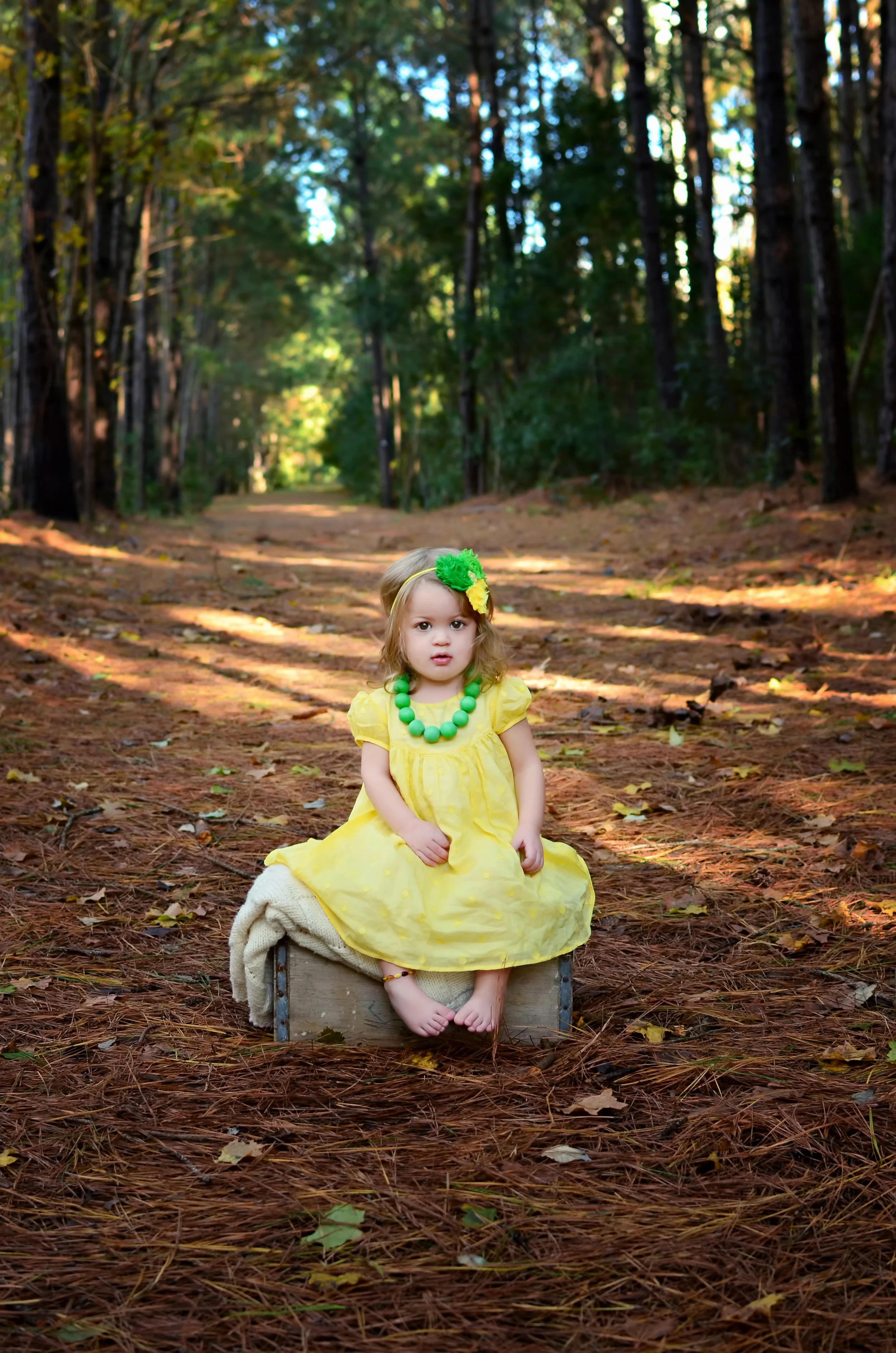  All Images 2012-2014 © Copyright Hannah Lamitina Photography&nbsp; 