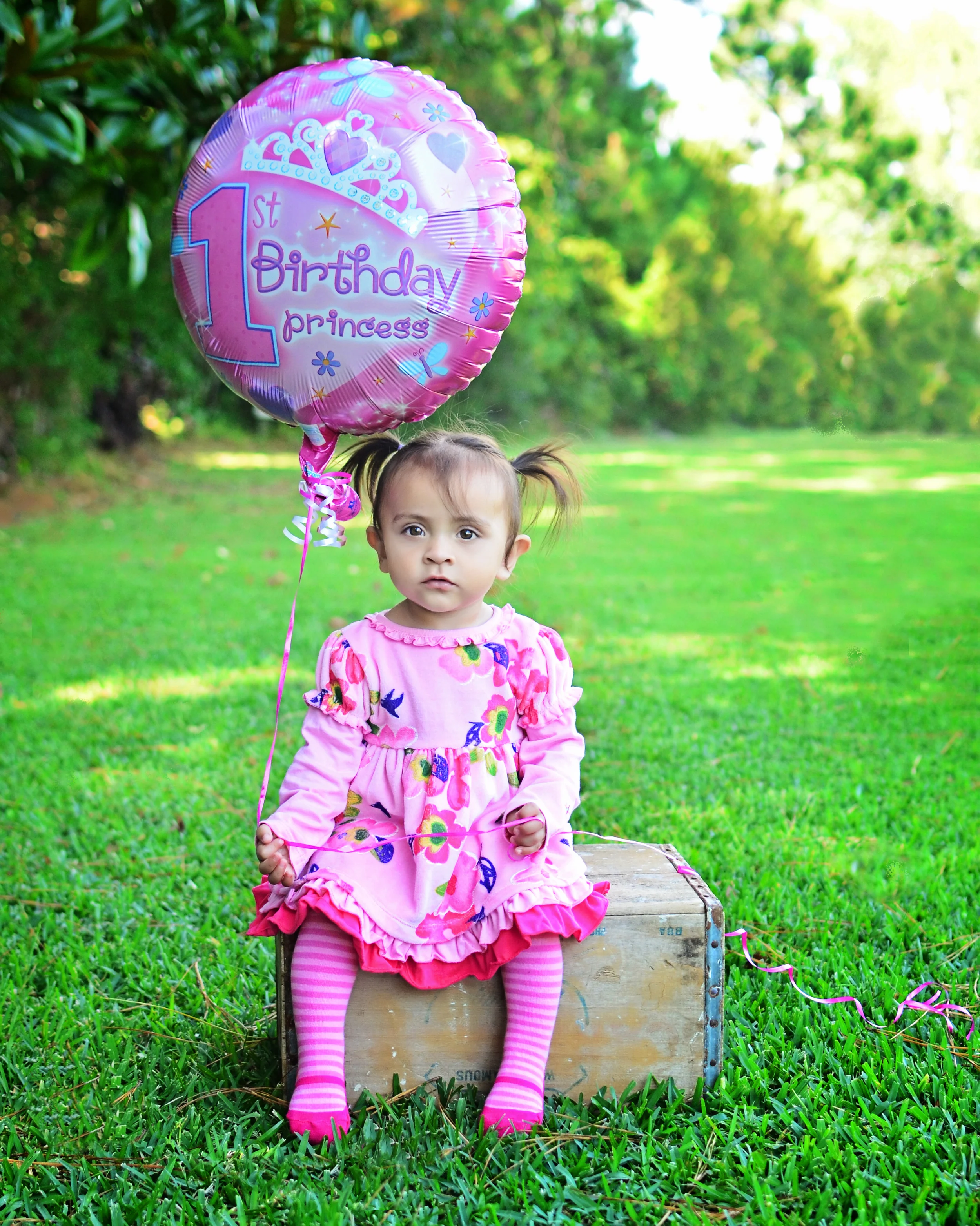  All Images 2012-2014 © Copyright Hannah Lamitina Photography&nbsp; 