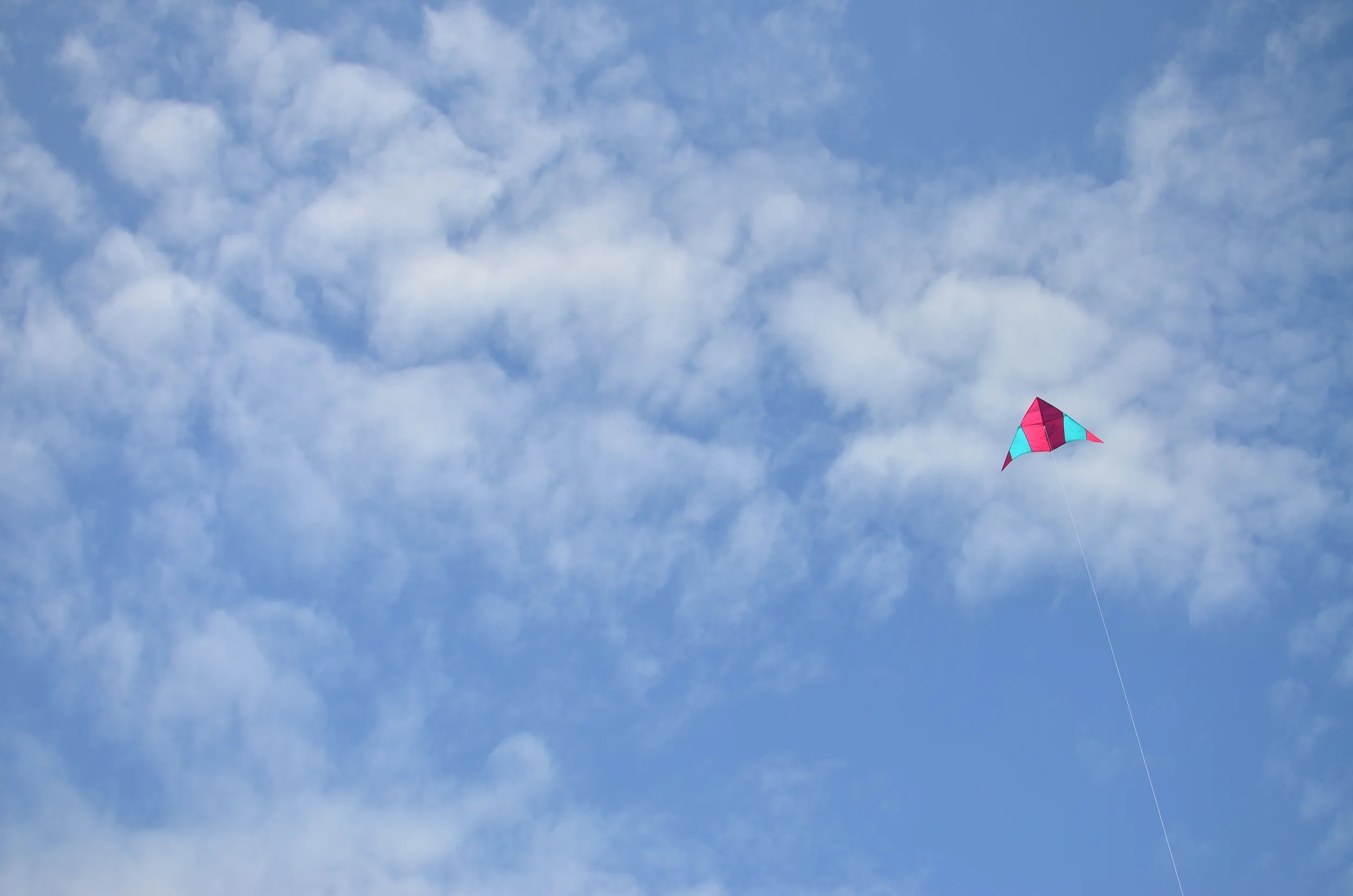 Kite