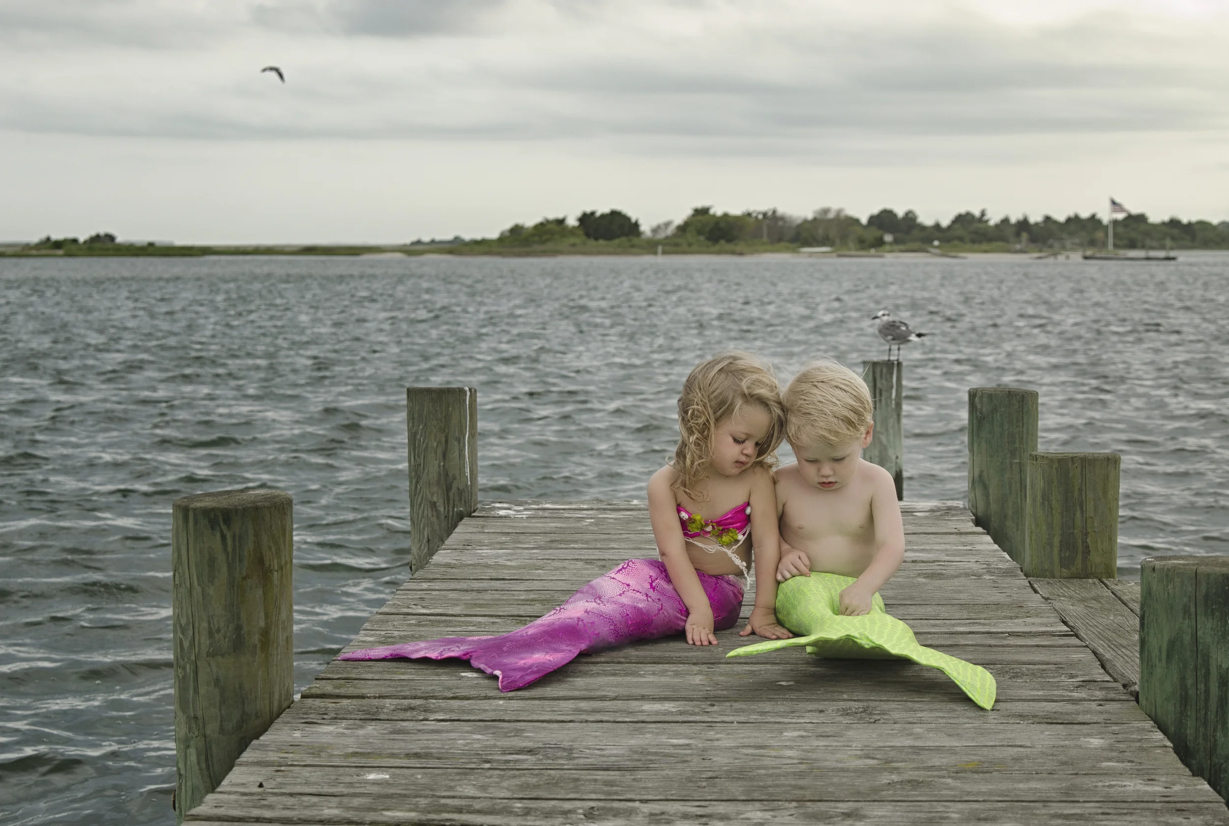 All Images 2012-2014 © Copyright Hannah Lamitina Photography 
