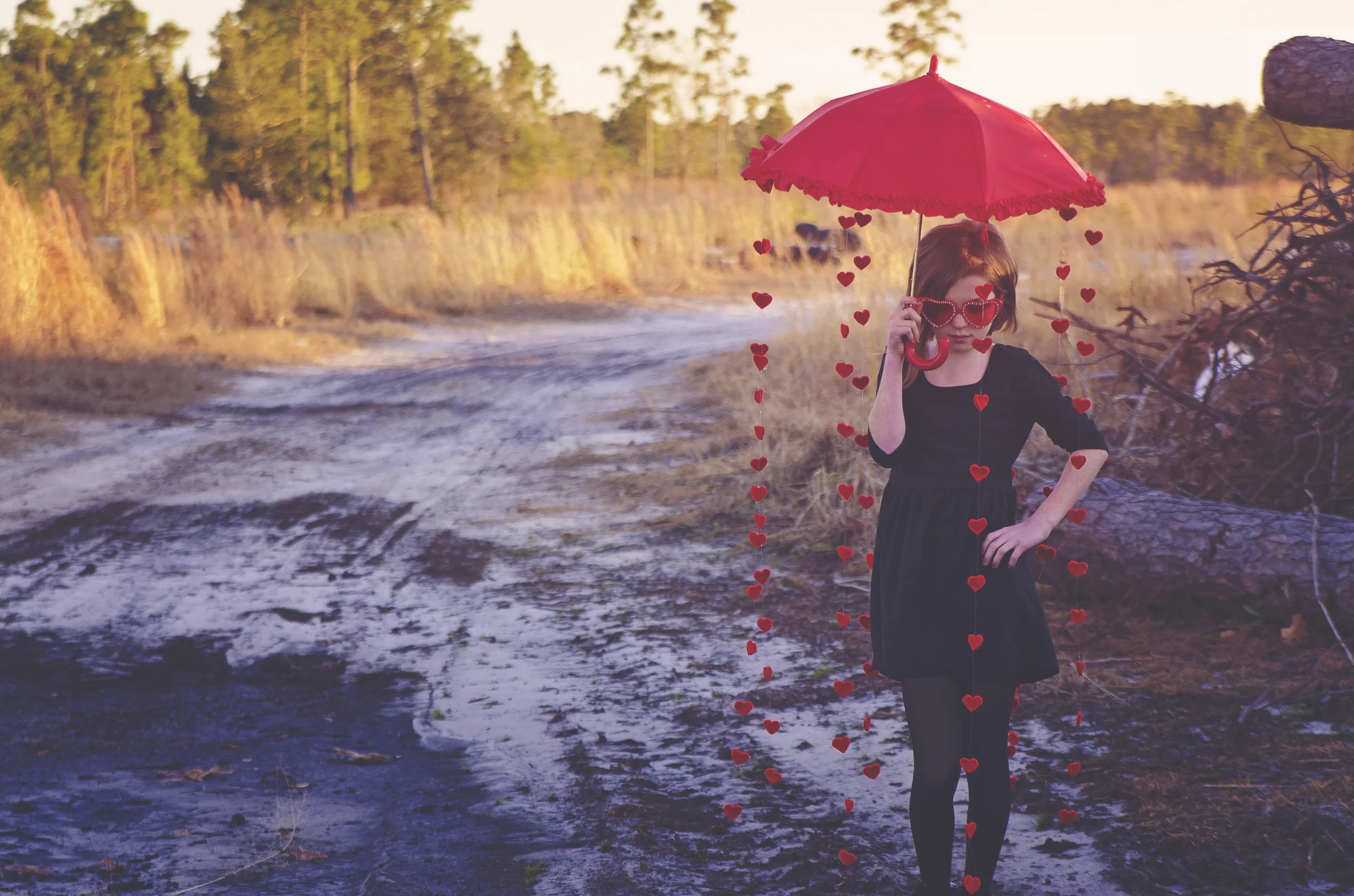 All Images 2012-2016 © Copyright Hannah Lamitina Photography