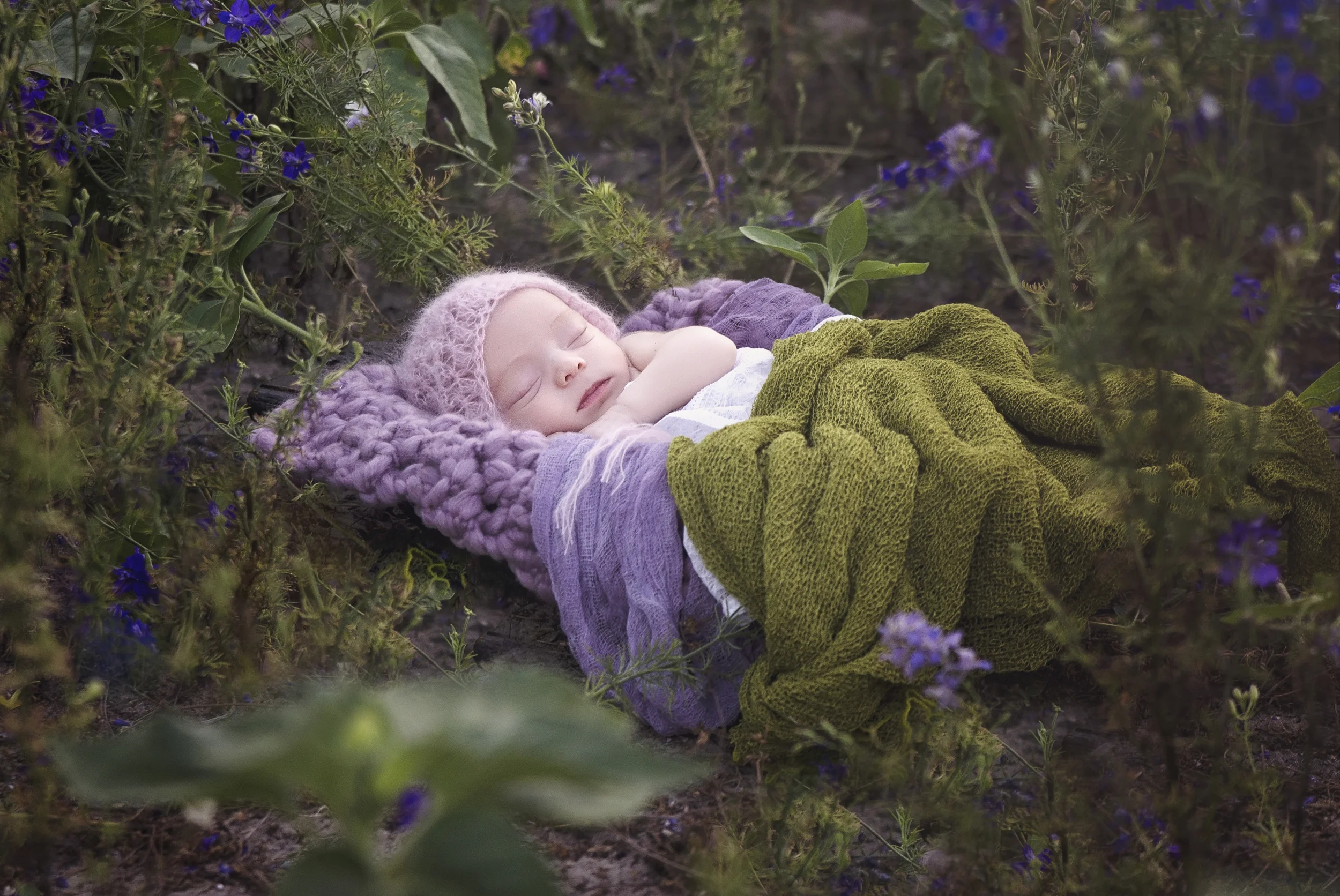All Images 2012-2016 © Copyright Hannah Lamitina Photography 
