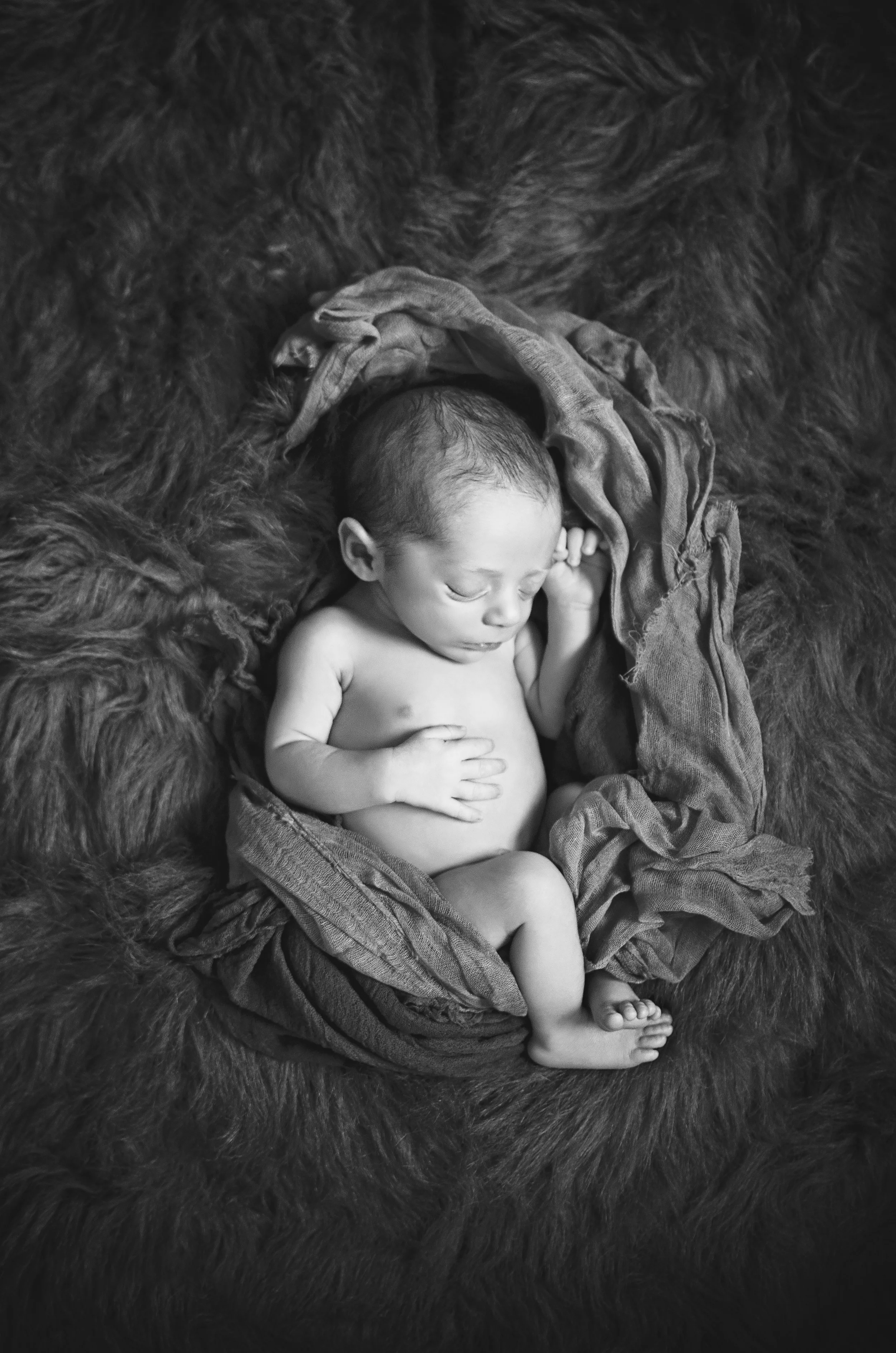 All Images 2012-2016 © Copyright Hannah Lamitina Photography 