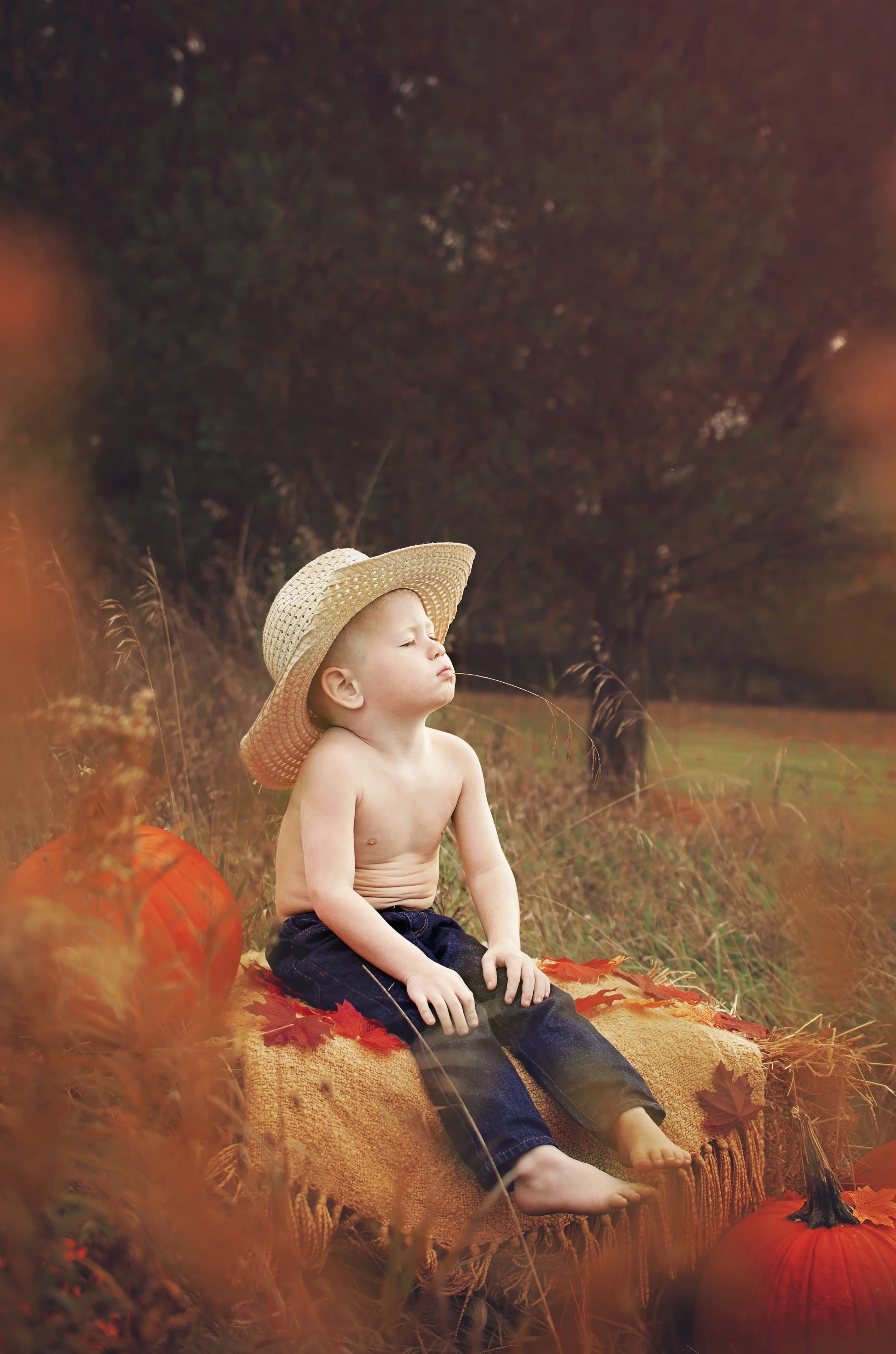 All Images 2012-2015 © Copyright Hannah Lamitina Photography