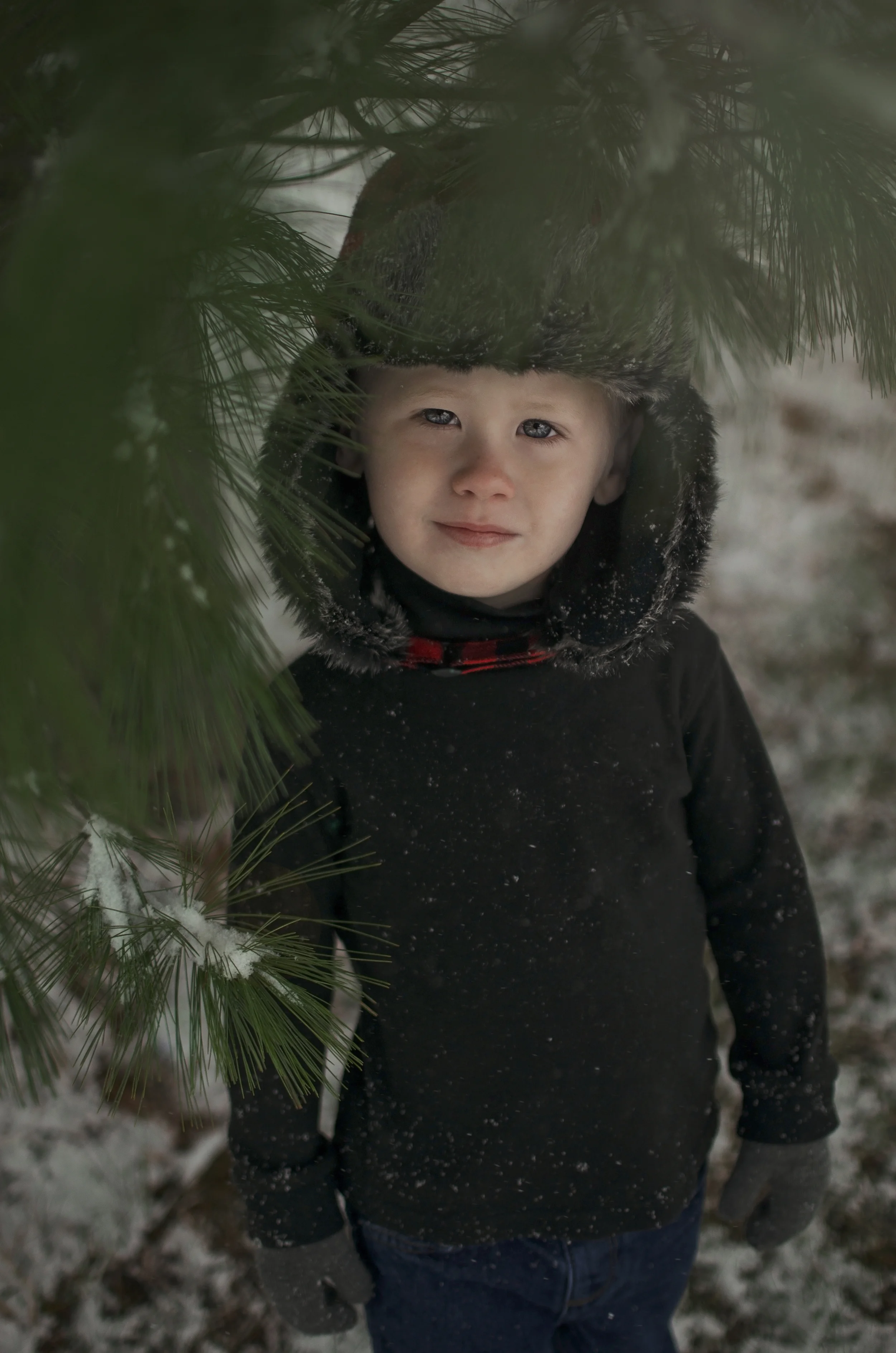 All Images 2012-2015 © Copyright Hannah Lamitina Photography