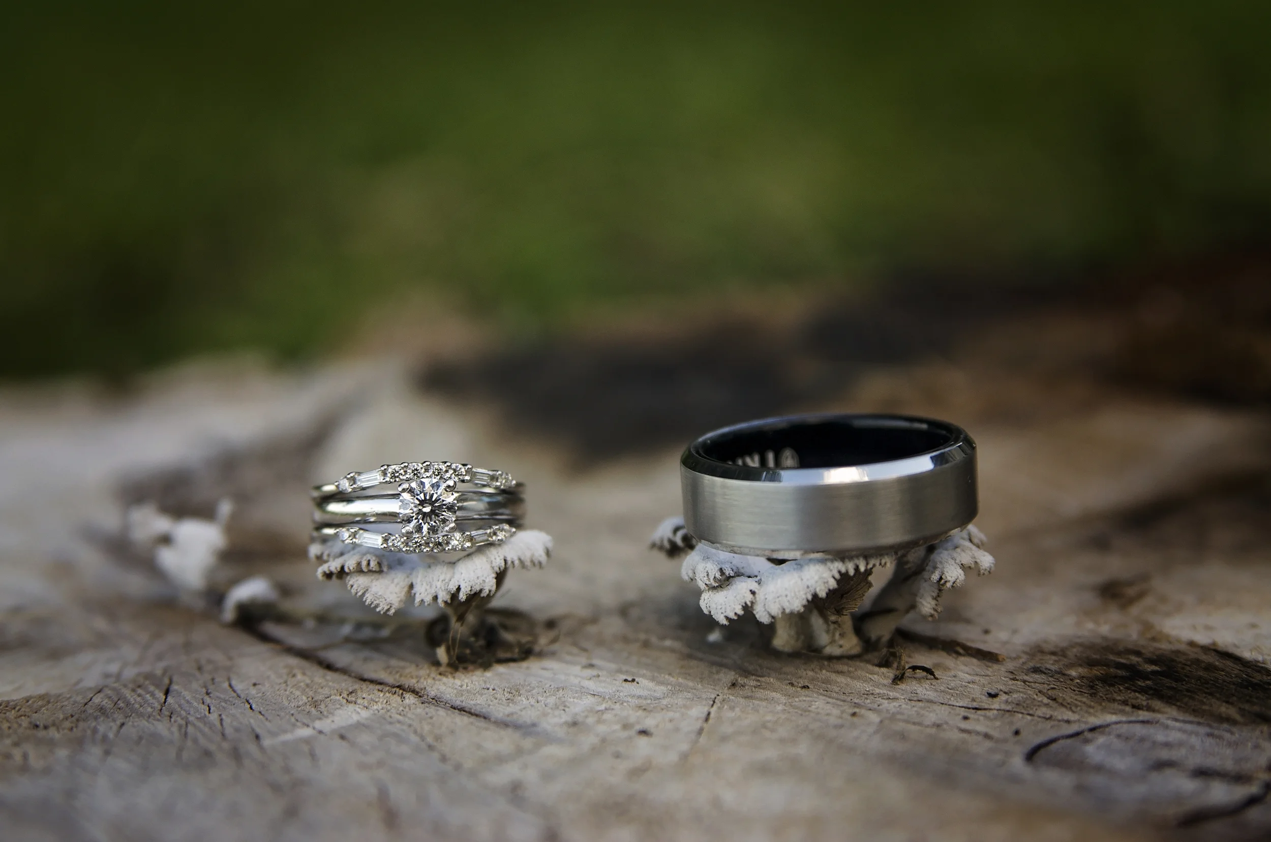 CollinsWedding_1091.jpg
