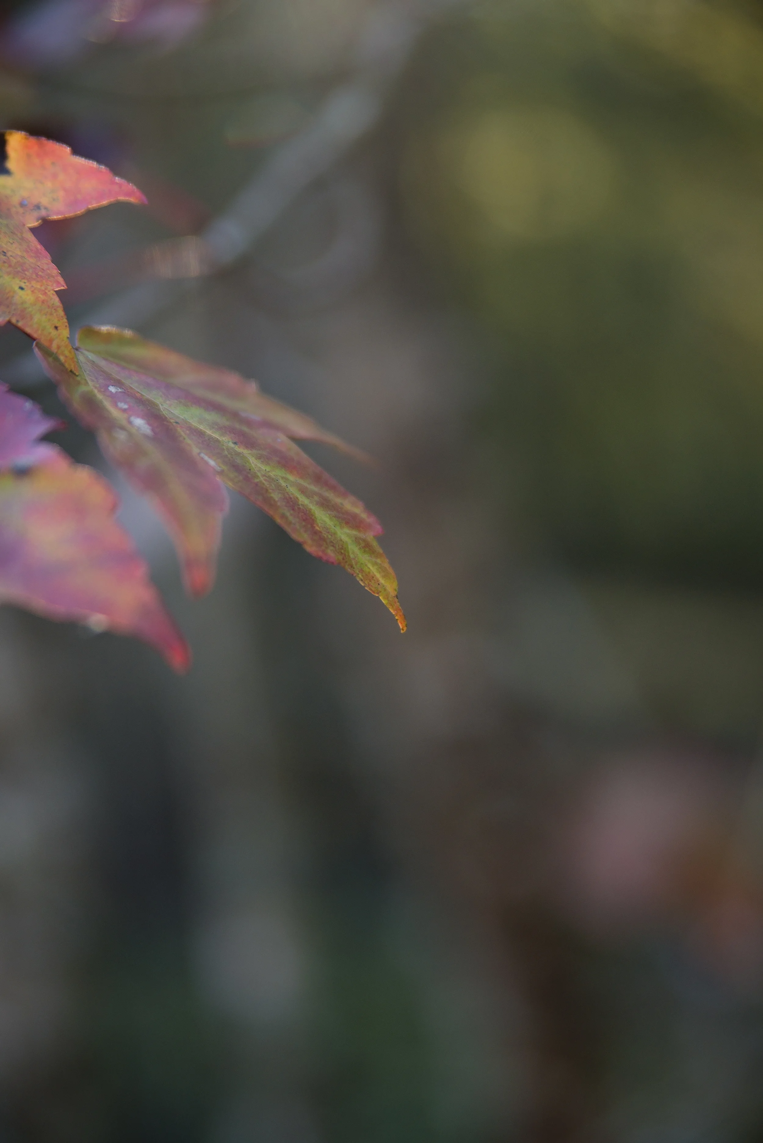 DSC_9163web.jpg