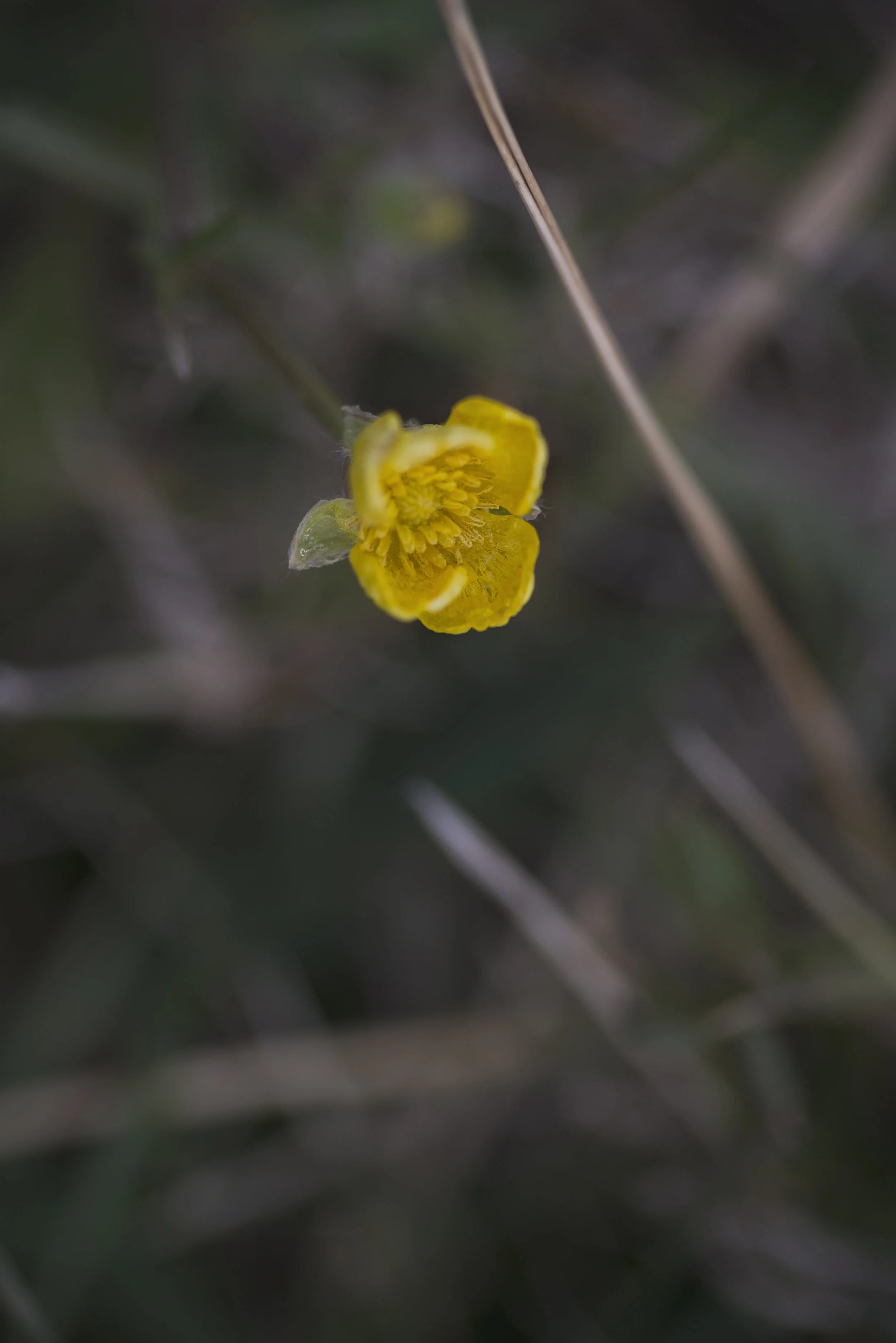 DSC_0025_0259.jpg