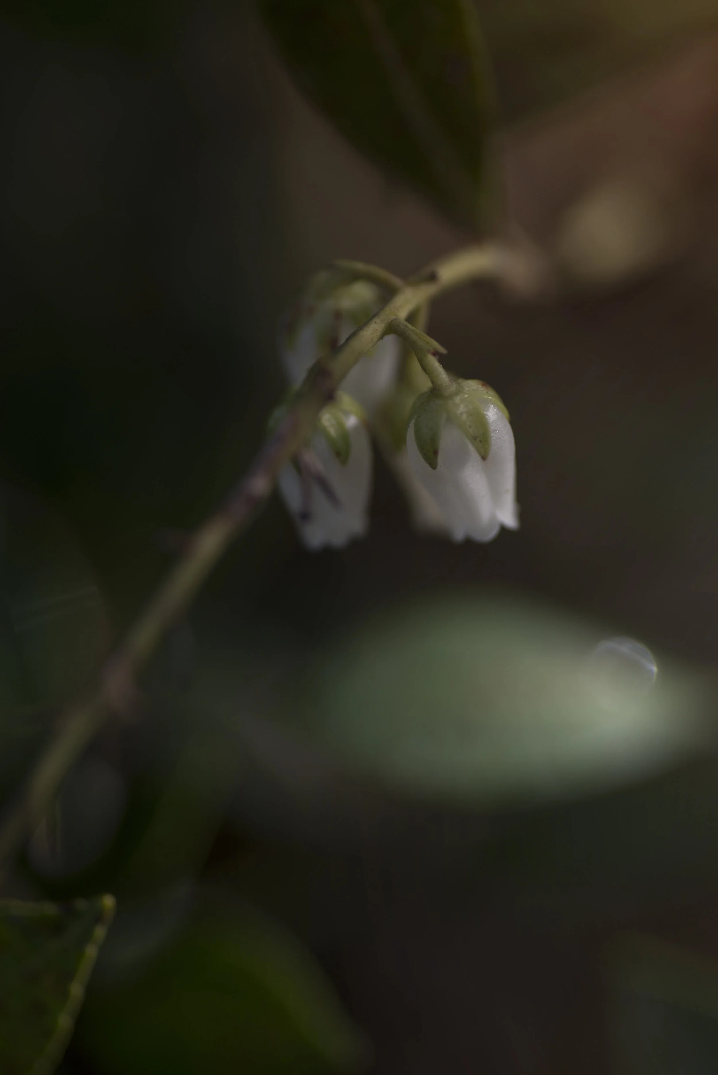 DSC_0095_0322.jpg