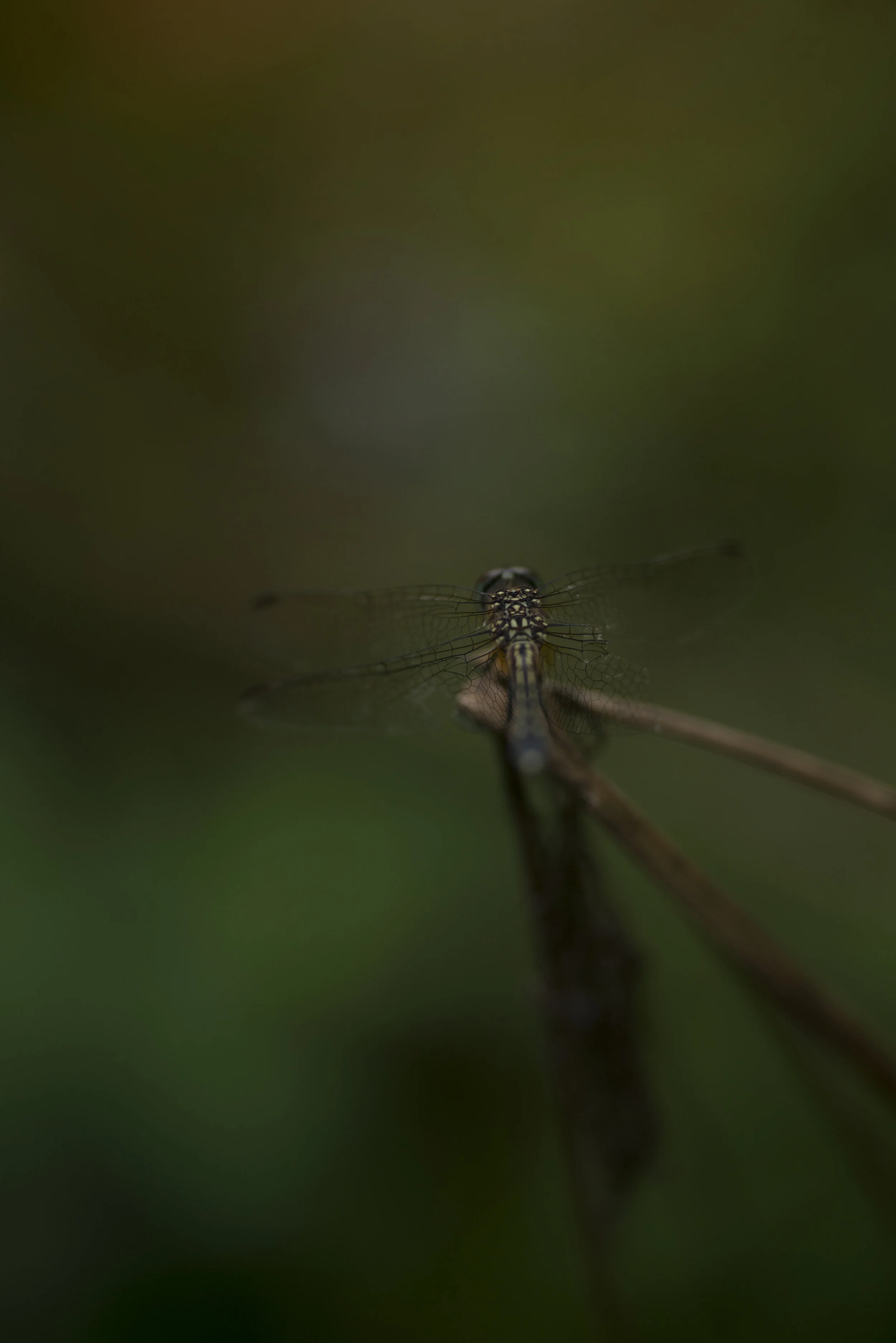 julyaugust2019_0045.jpg