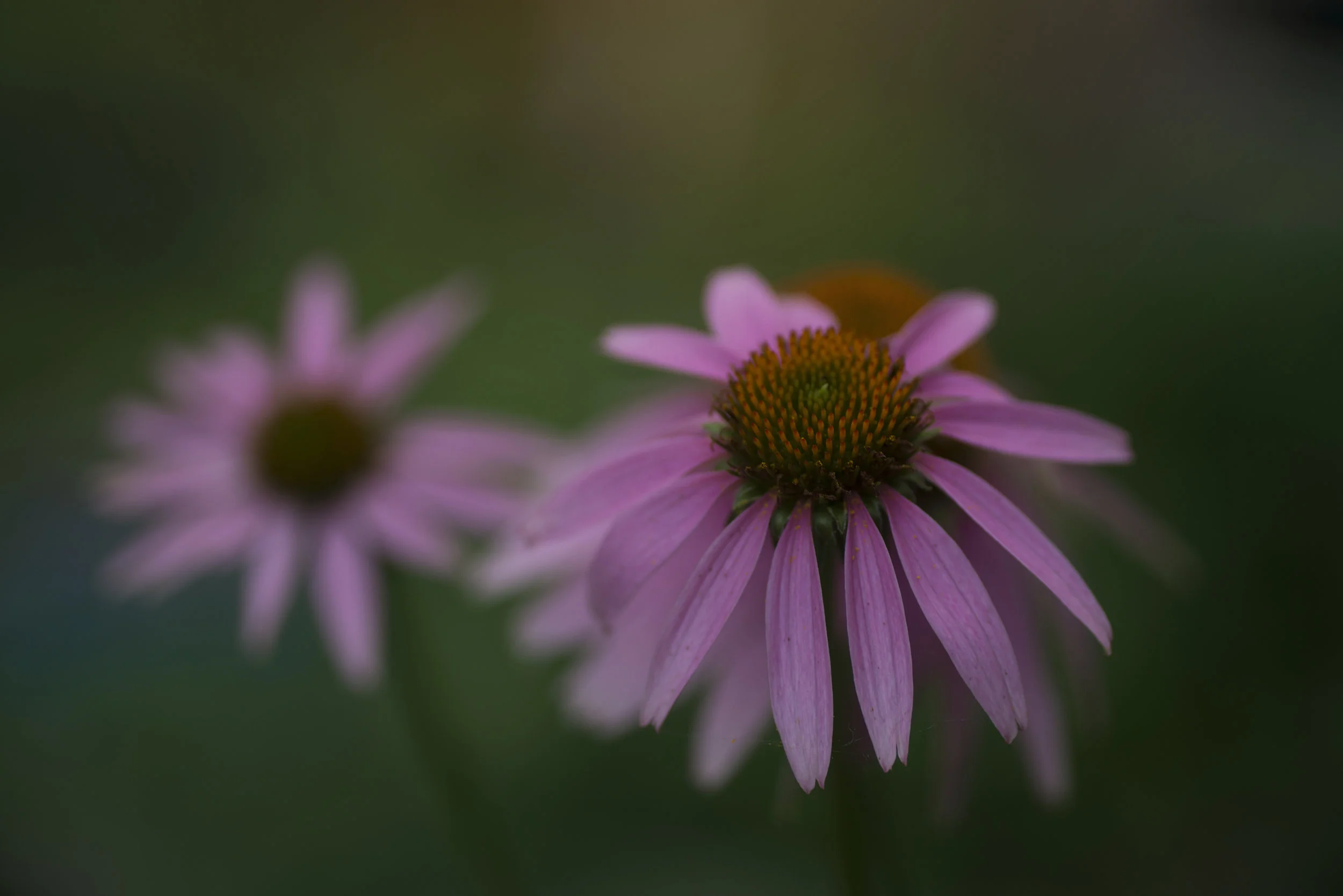 julyaugust2019_0040.jpg