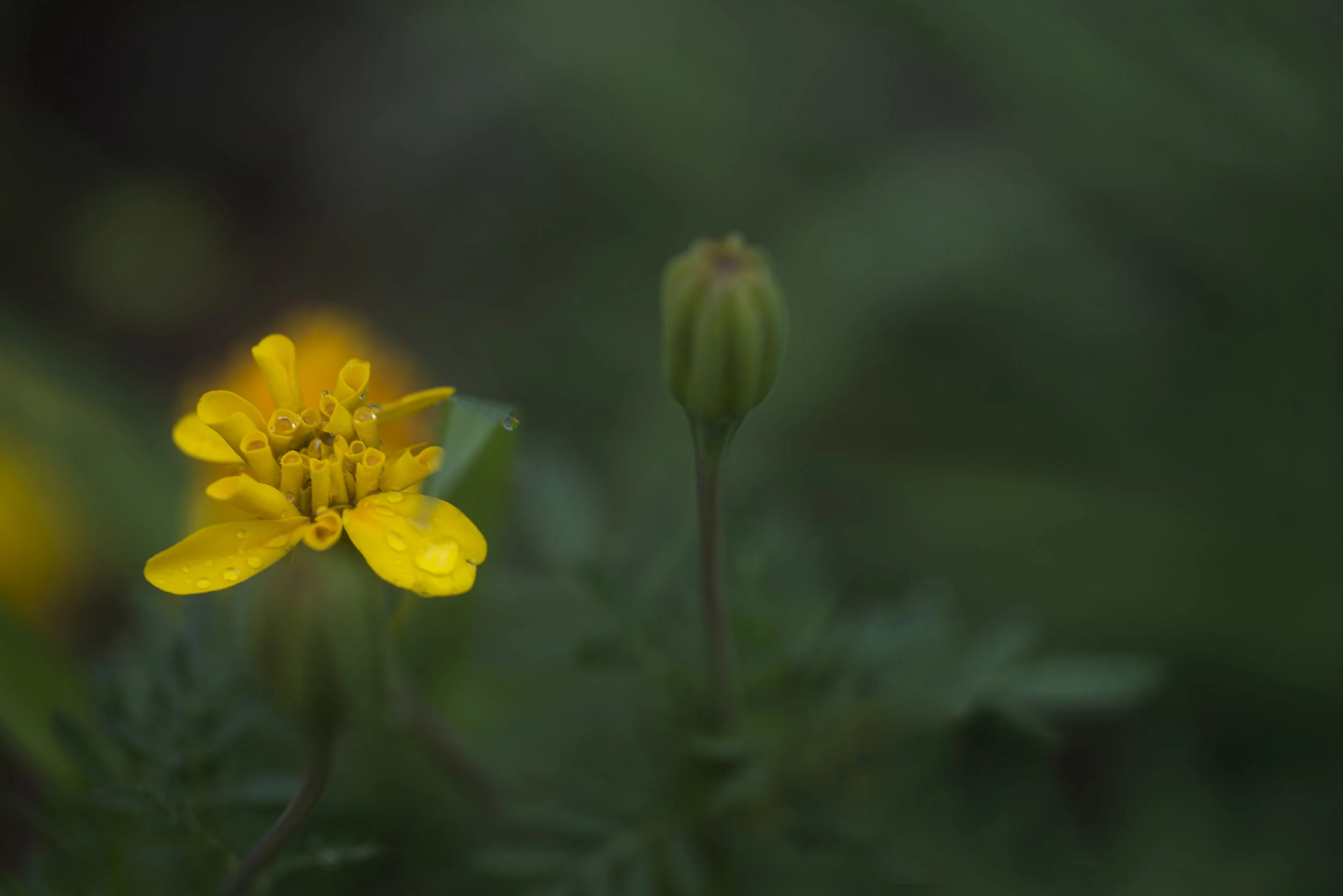julyaugust2019_0023.jpg