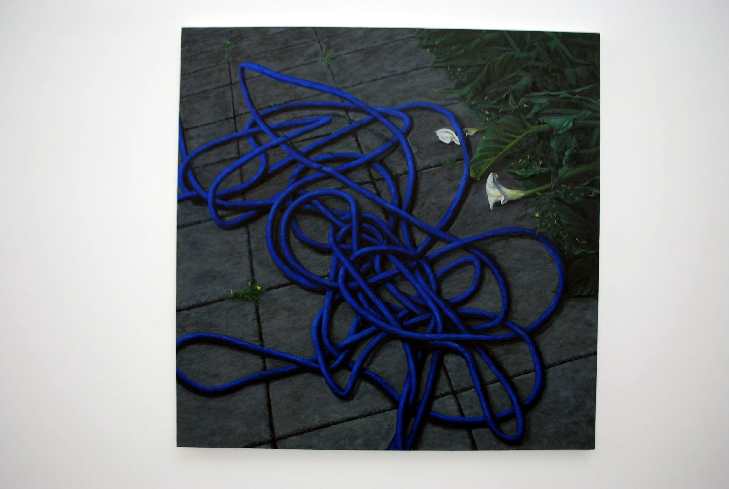 Casualty, 70” X 70”, Oil on canvas, 2014