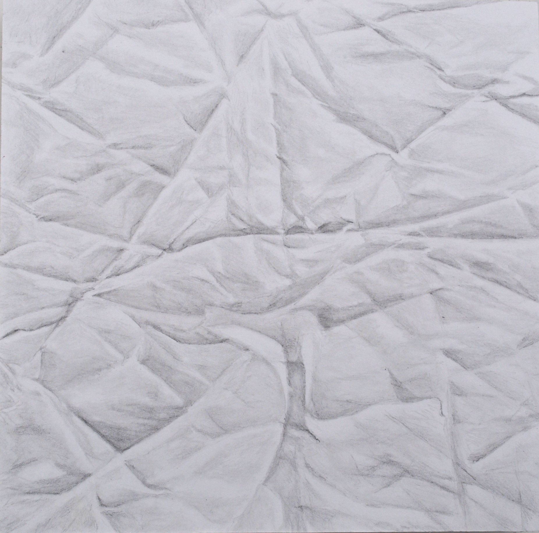 Paper - Tree, Graphite on Bristol, 6” x 6”, 2015