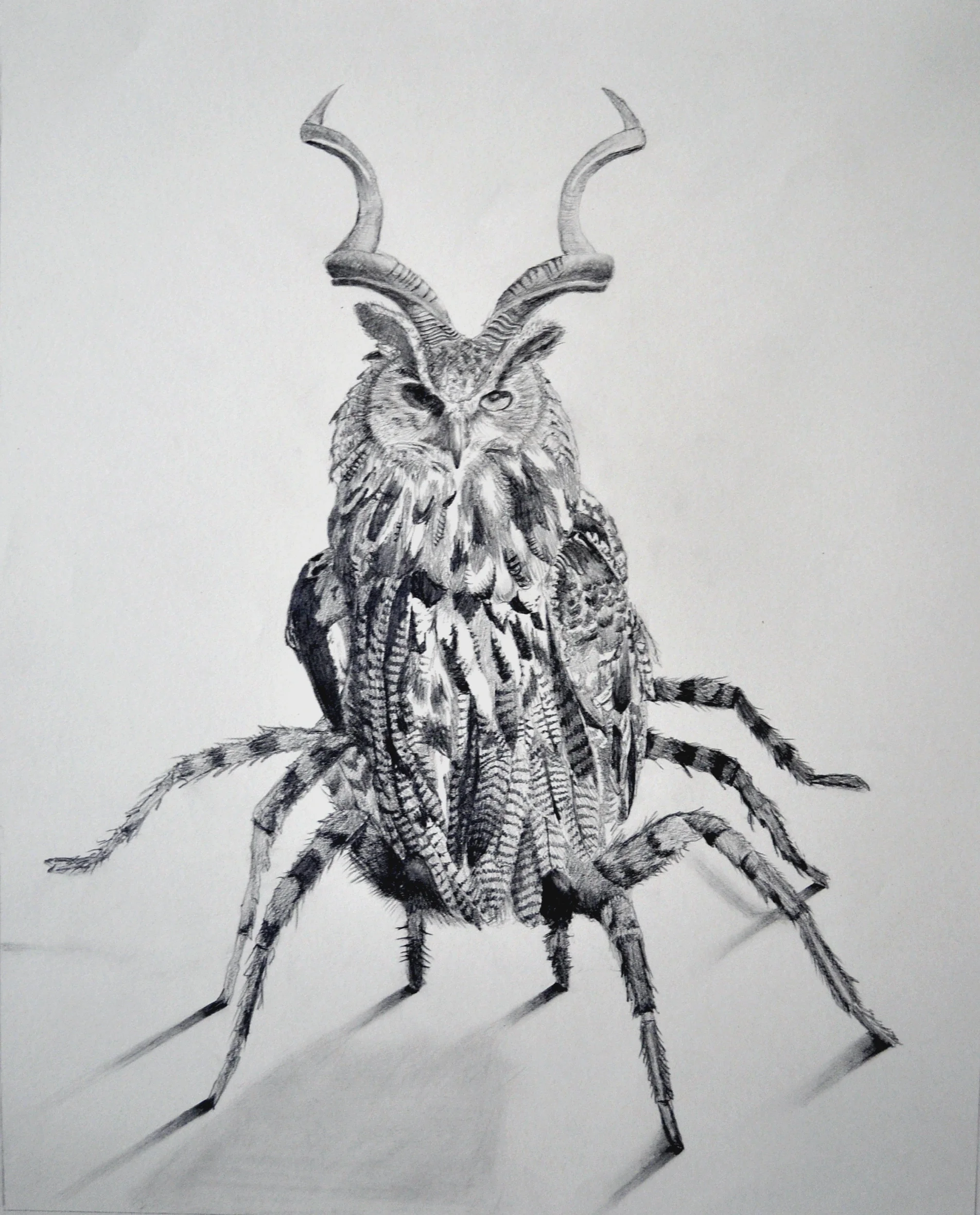 Student Work - Chimera Project, Beginning Drawing, Graphite on paper, 14” x 17”, 2015