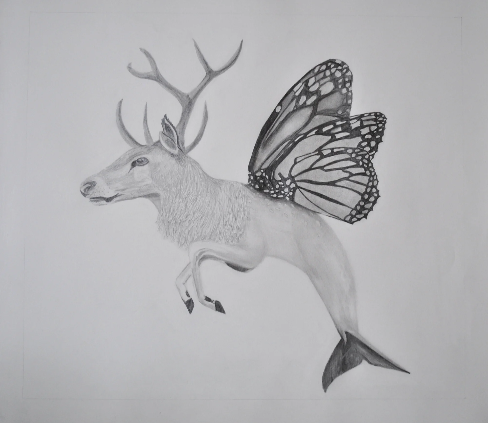 Student Work - Chimera Project, Beginning Drawing, Graphite on paper, 14” x 17”, 2015