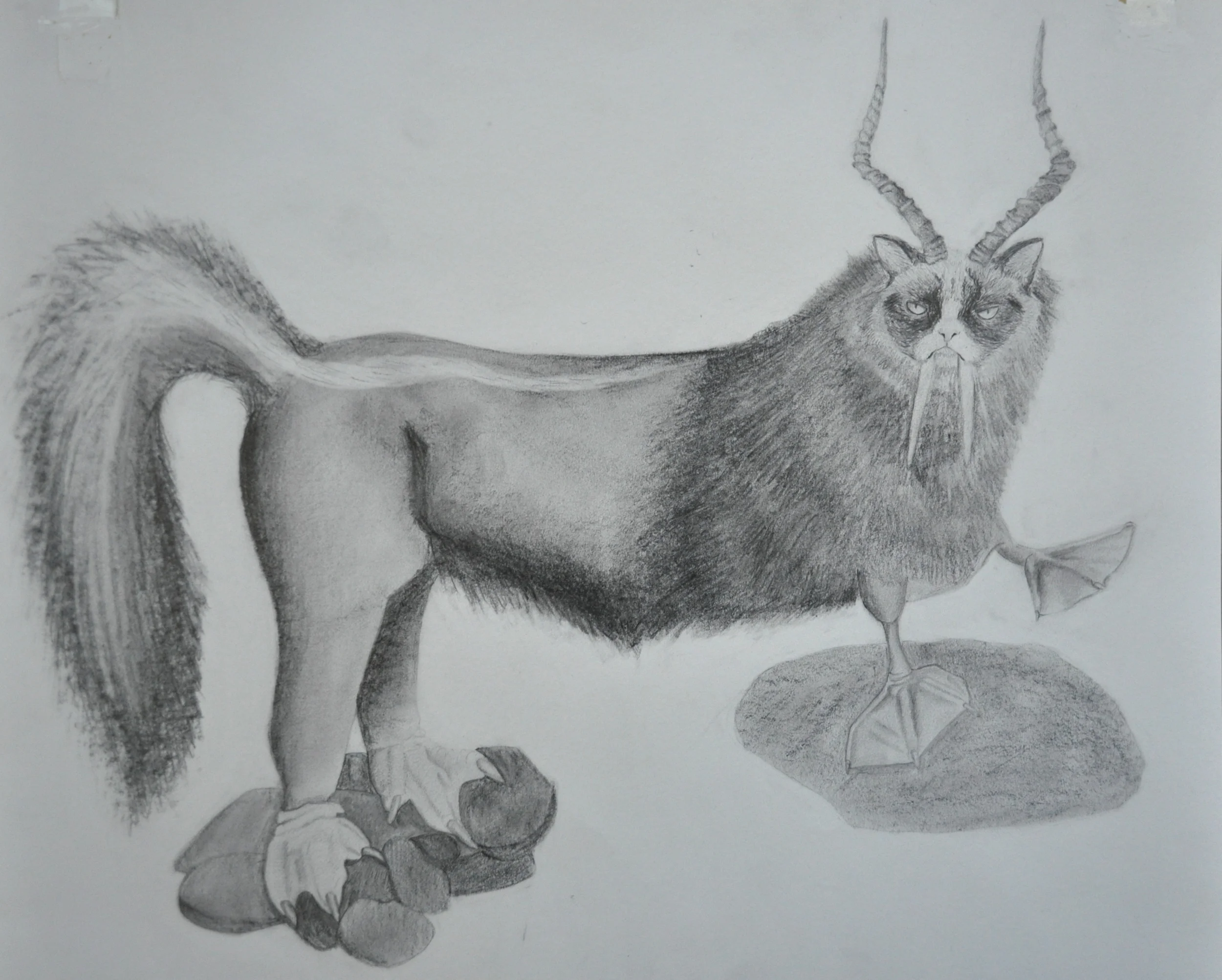 Student Work - Chimera Project, Beginning Drawing, Graphite on paper, 14” x 17”, 2015