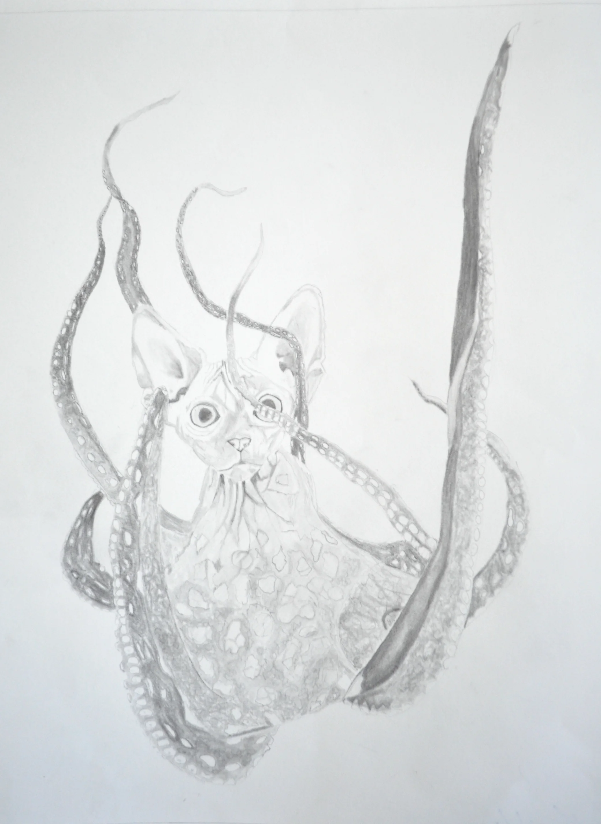 Student Work - Chimera Project, Beginning Drawing, Graphite on paper, 14” x 17”, 2015