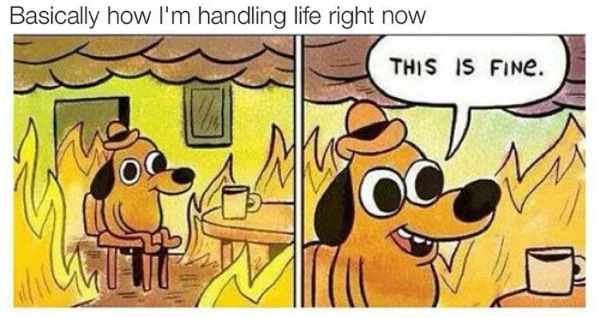My life in June basically.