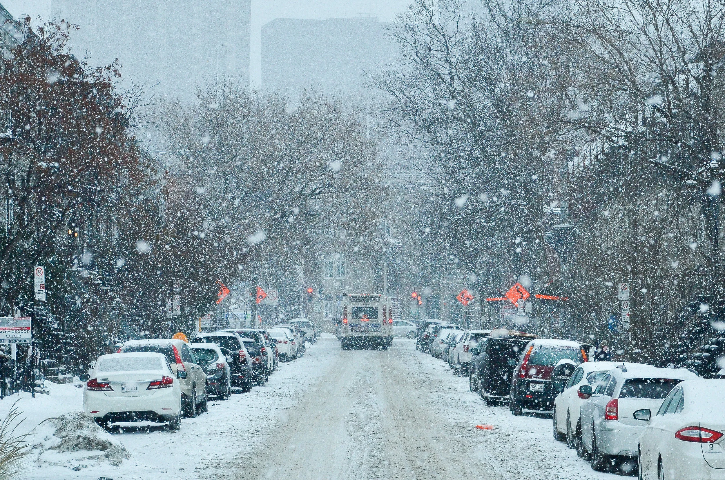 Life Update: An Unexpected Winter Injury