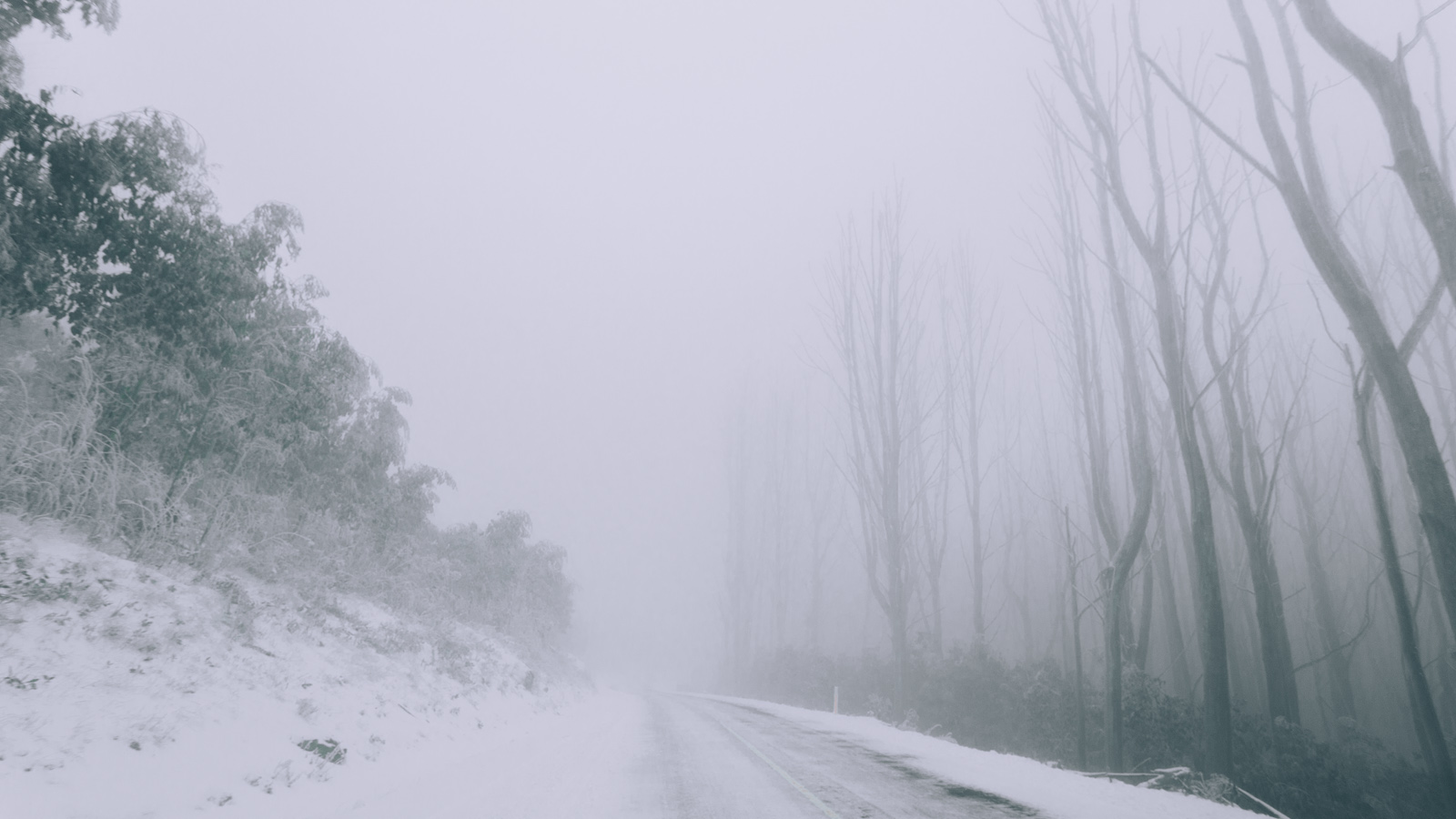 _42A3016.jpg