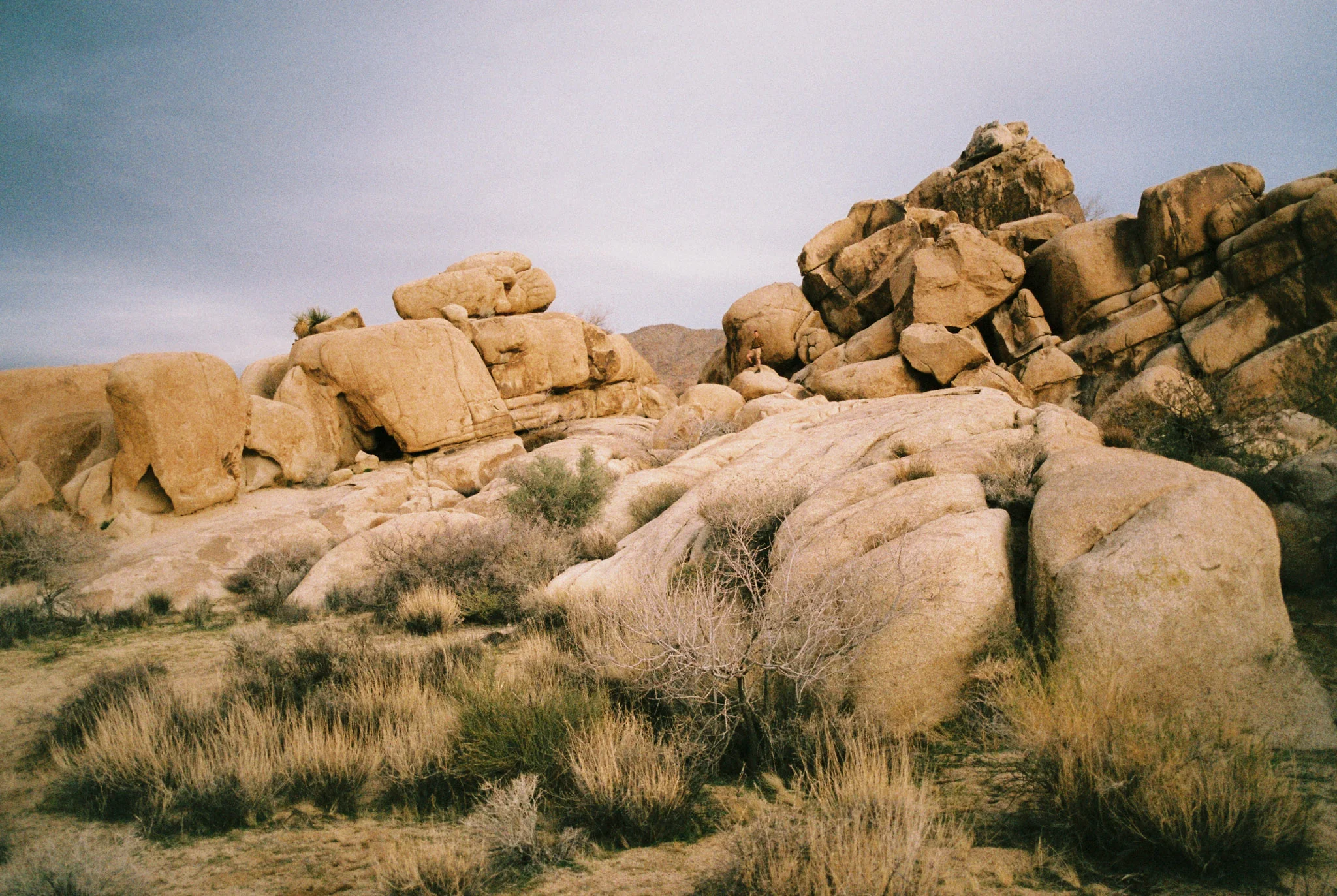 000016-7.jpg