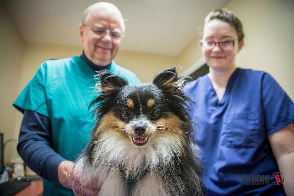 wLifestyle Photography Tualatin Vet Clinic DOG.jpg