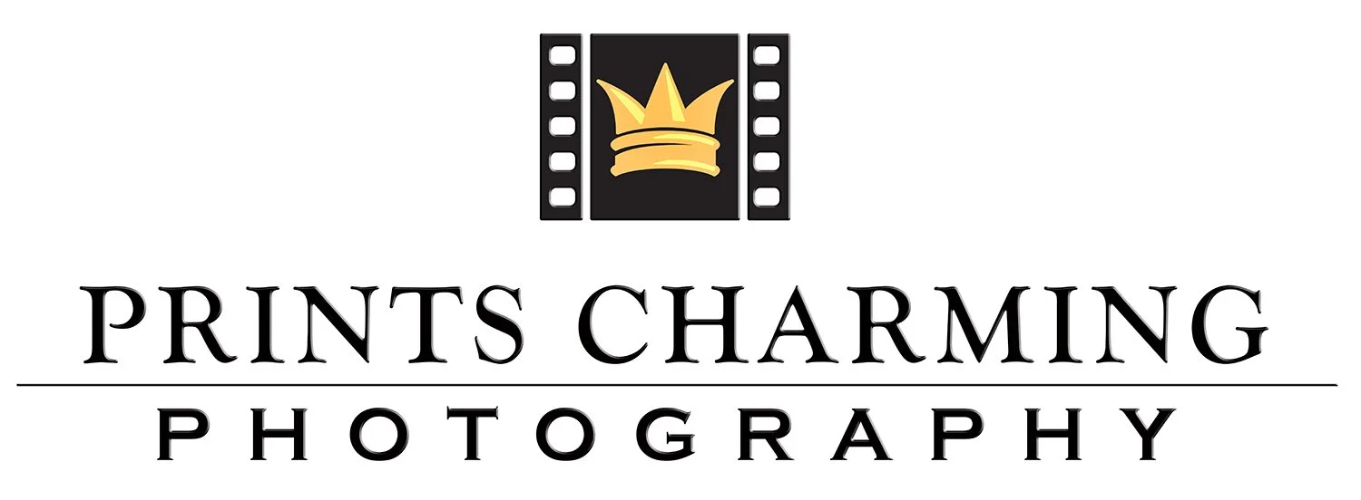 PC LOGO 2003.jpg