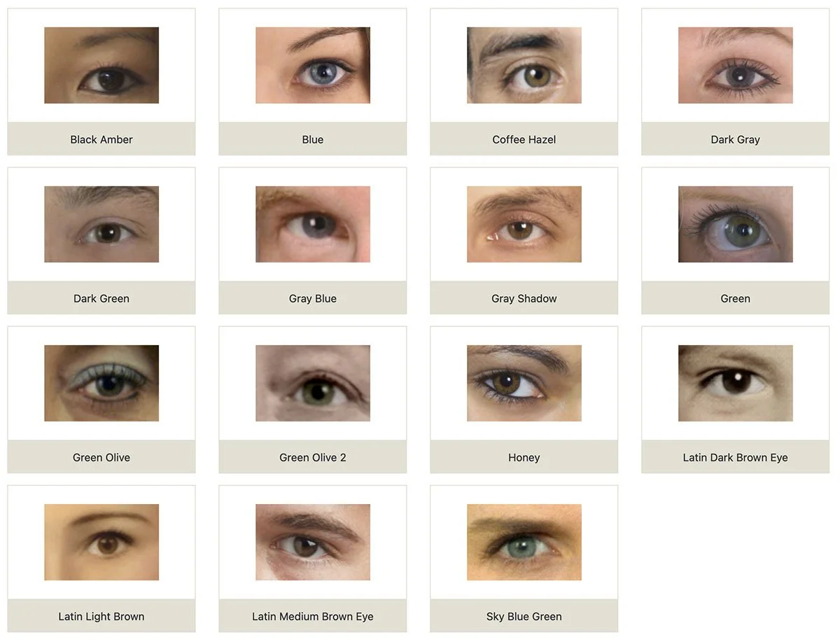 EYES for Restoration Artist