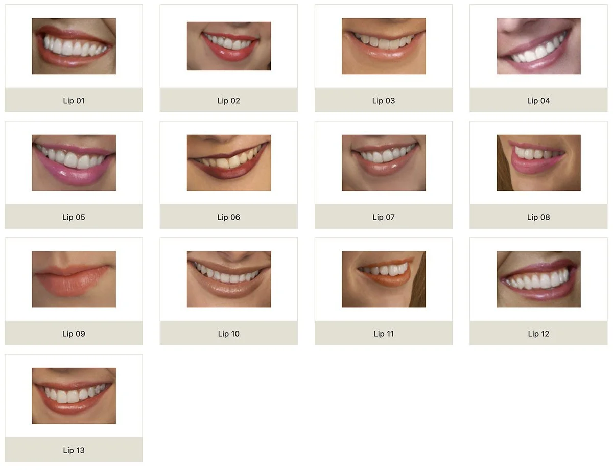 LIPS for Restoration Artist