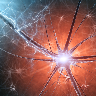 neuron connections.jpg