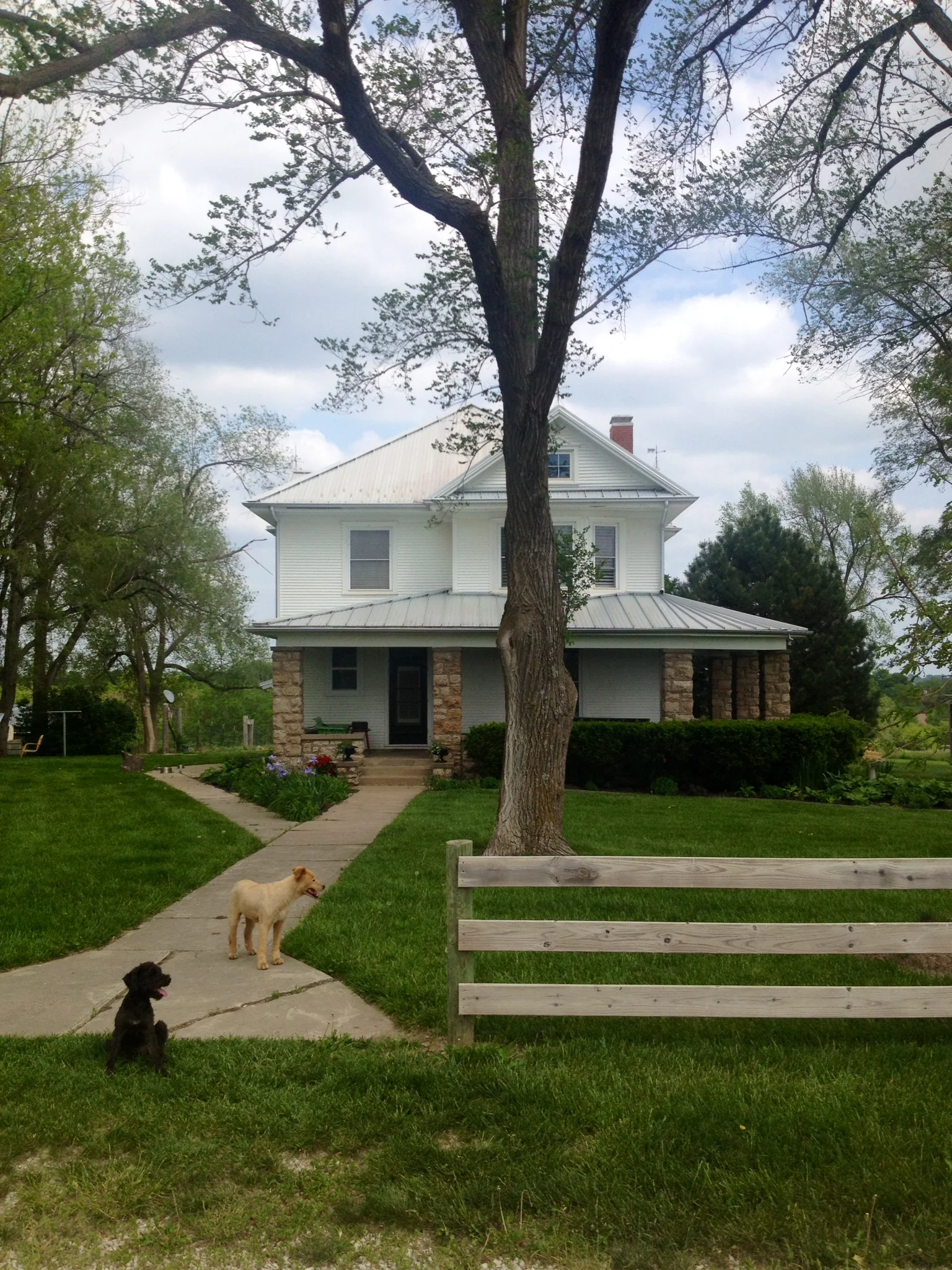 And now. Such a happy house.