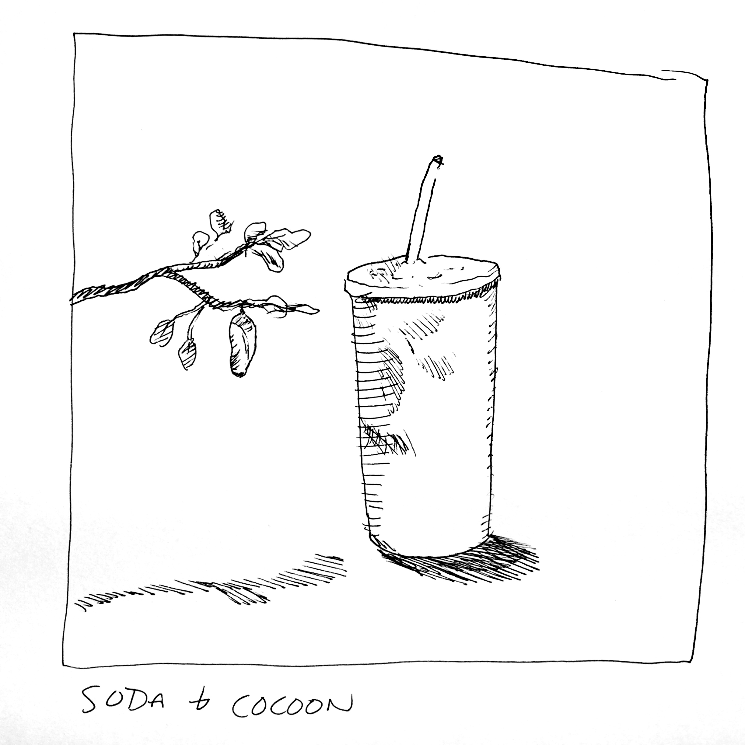 Soda and Cocoon, 2018. ink on paper. 10 x 10 inches