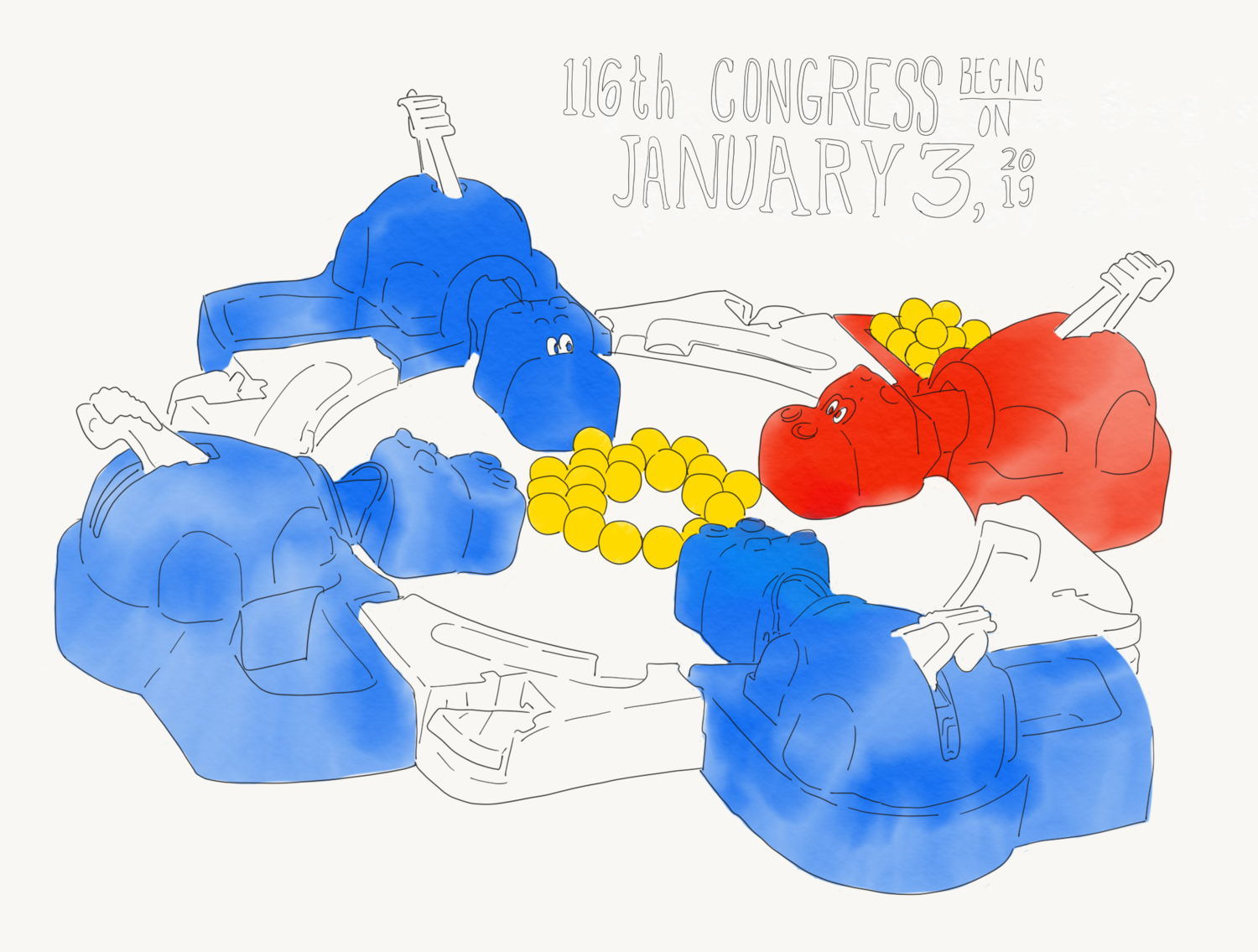 116th Congress, December 2018