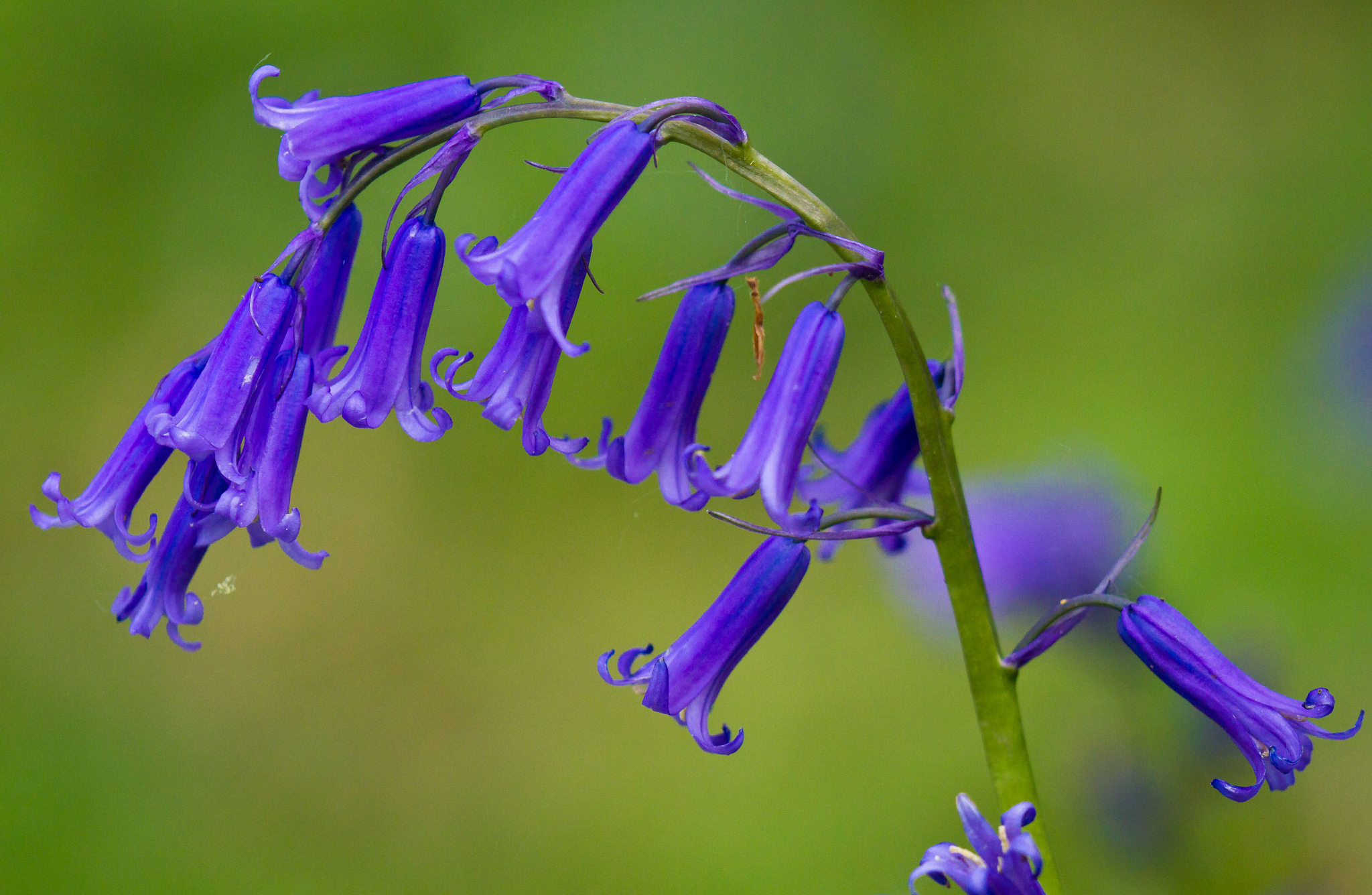 Photo via Natural England